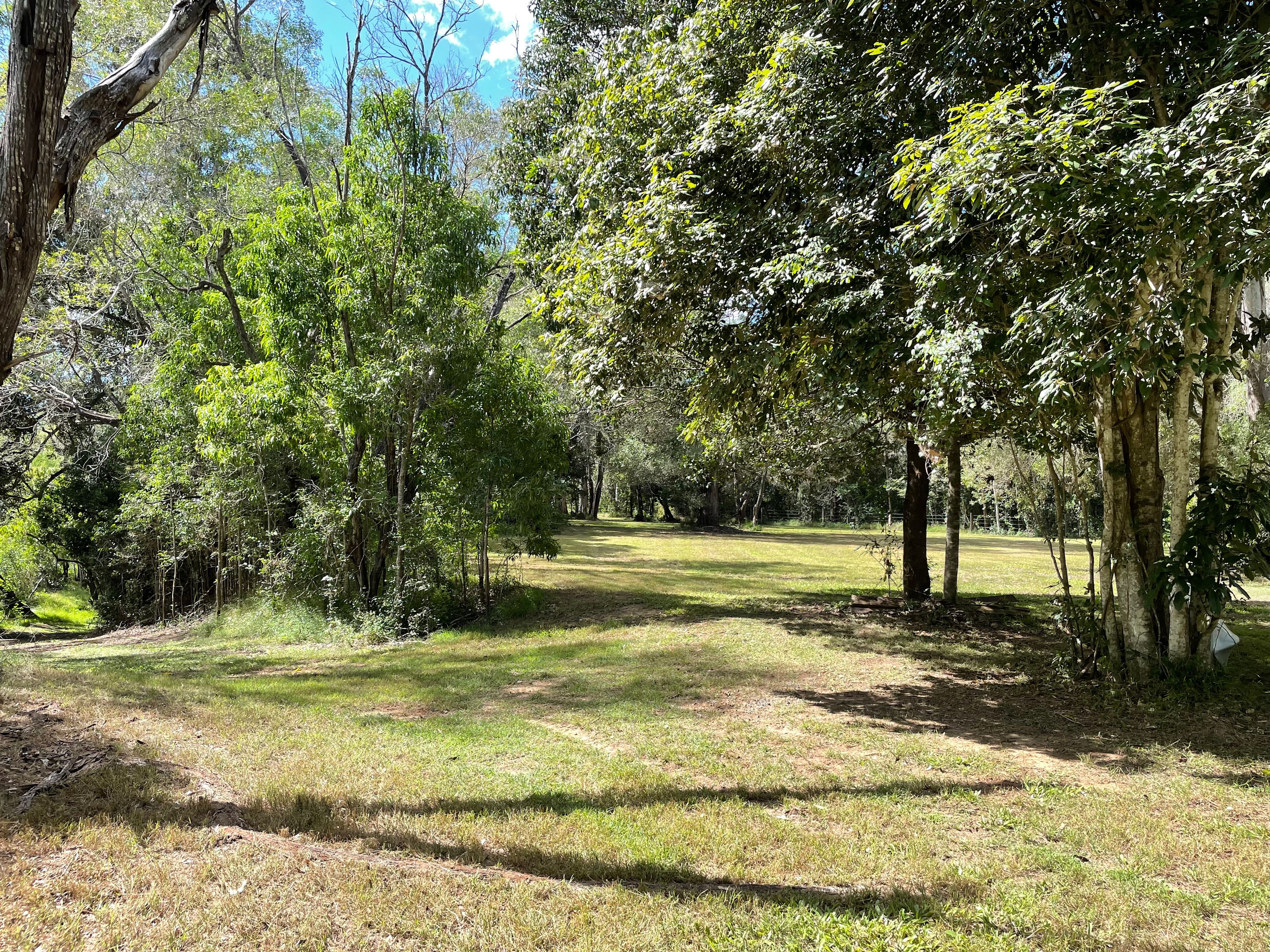 Kotuku on Oyster Creek