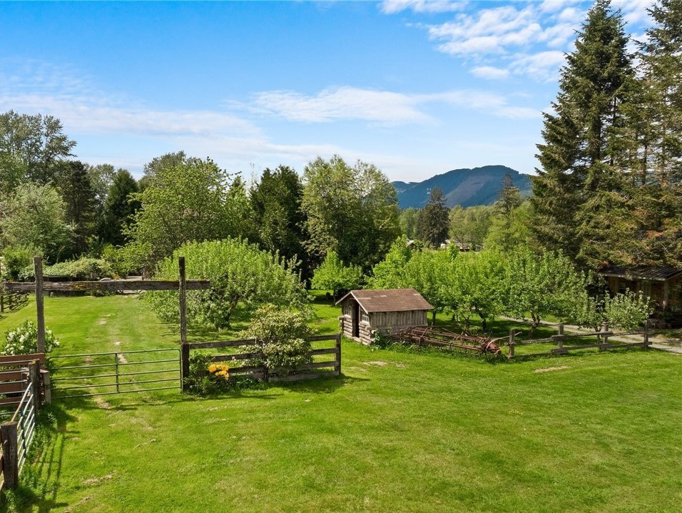 Apple and pear orchard across from the cabin.