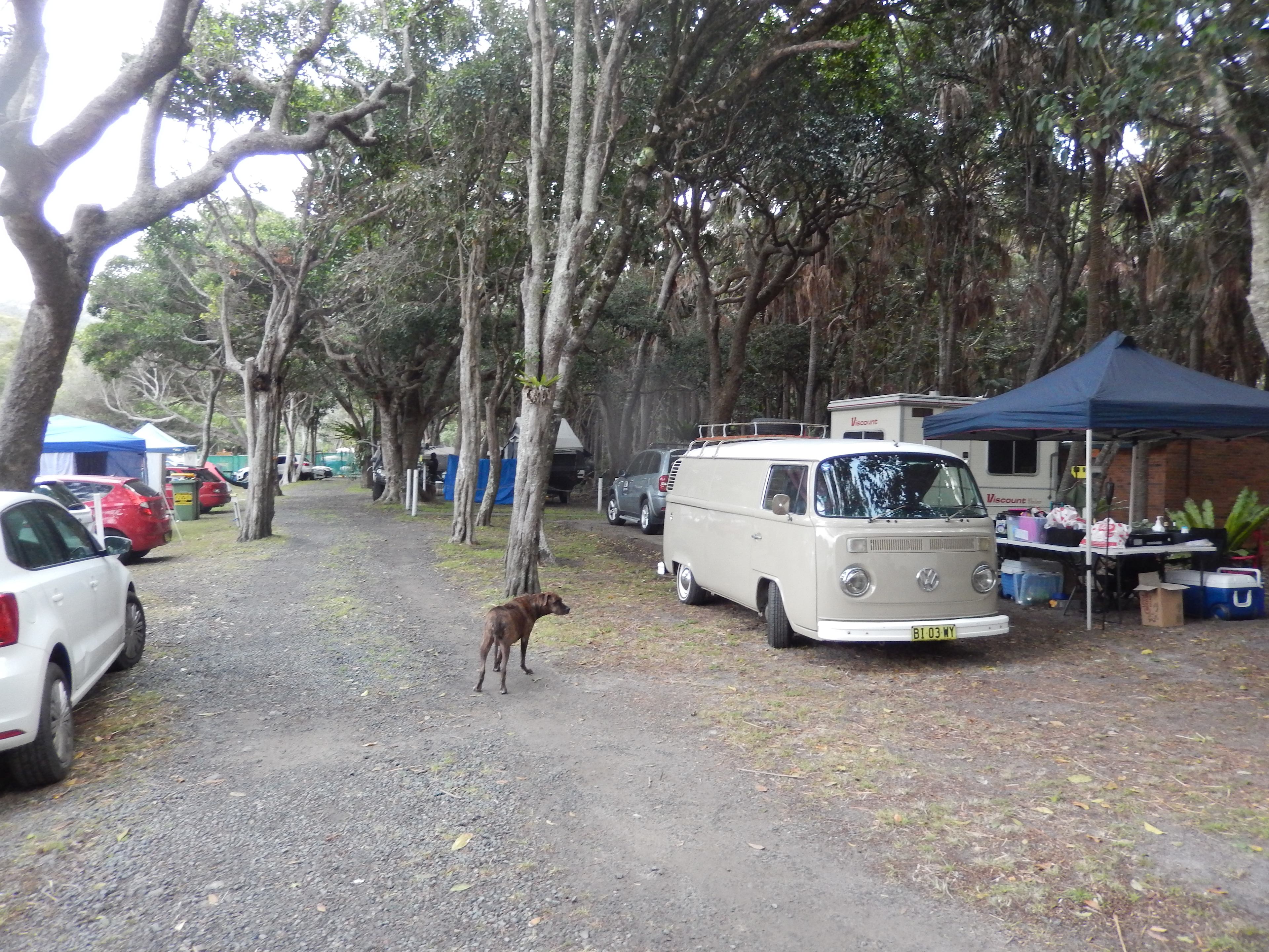 Tiona Holiday Park