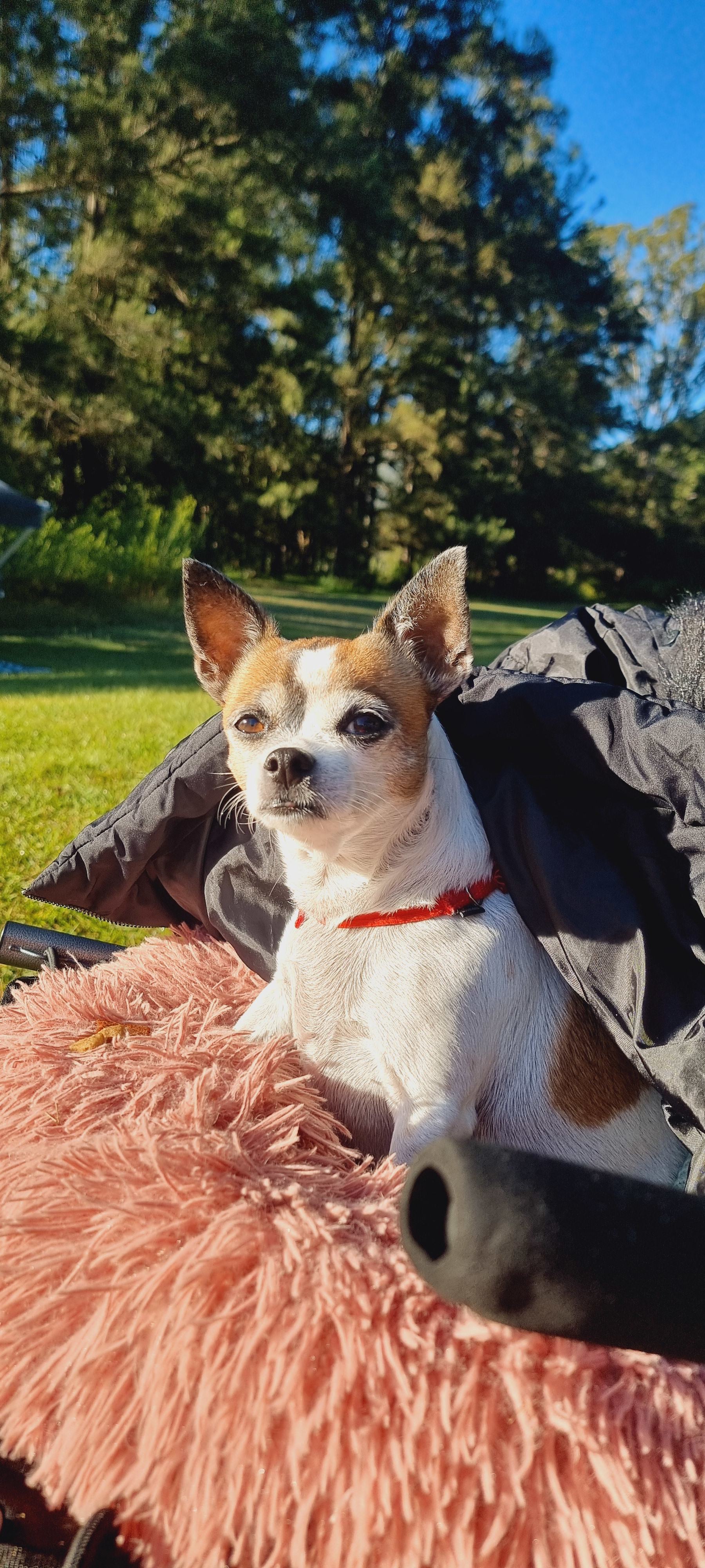 Oxley Riverside Campsites