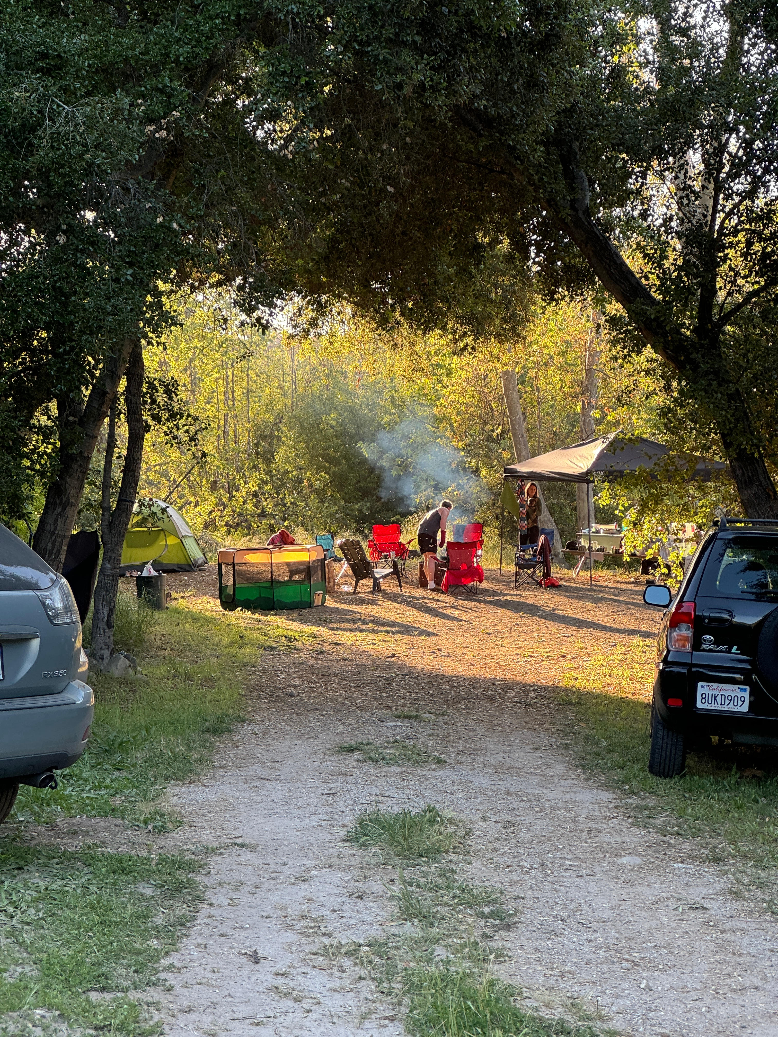 Camp RainDale