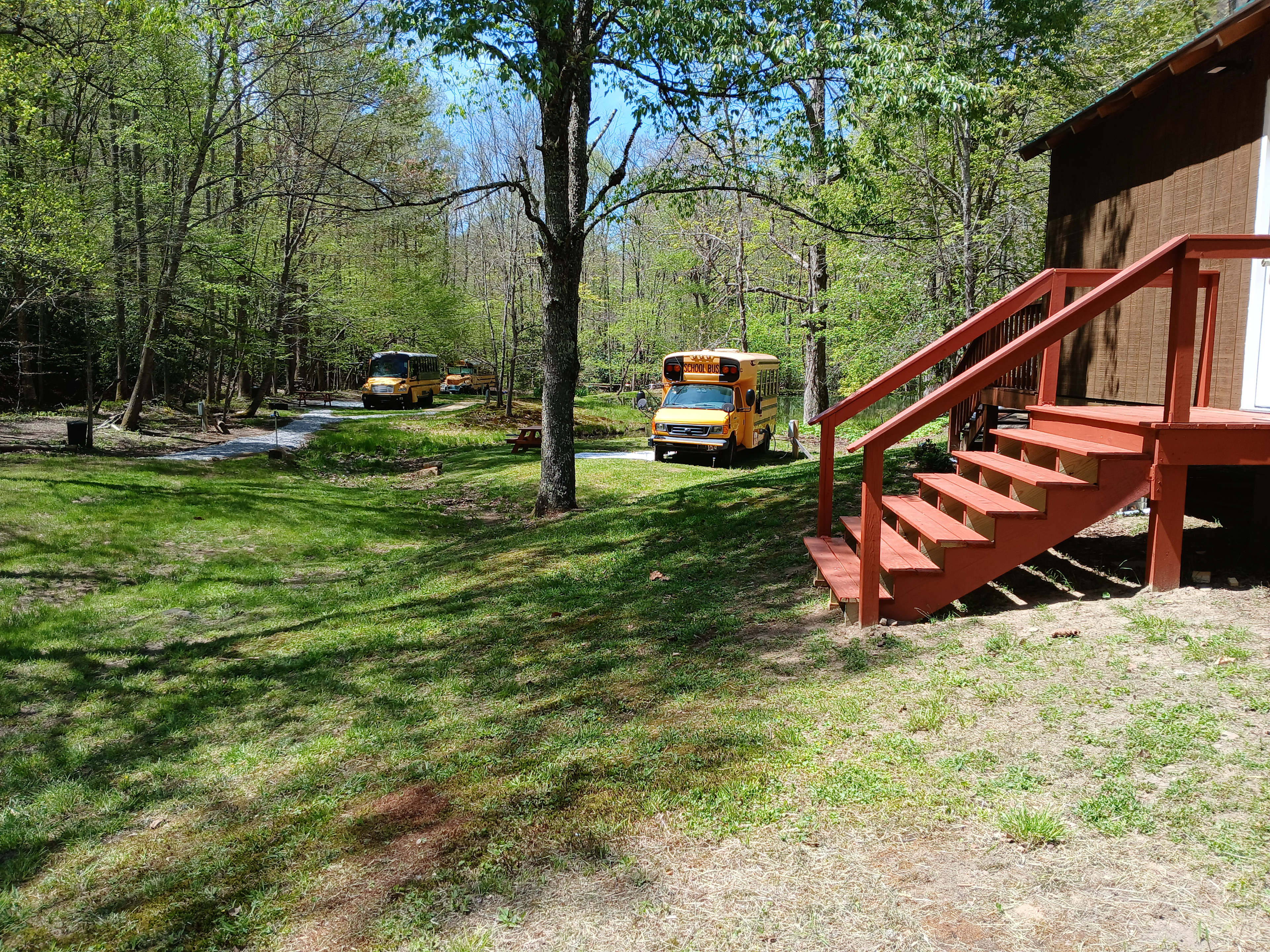 Wild Wonderful Skoolies And Camping
