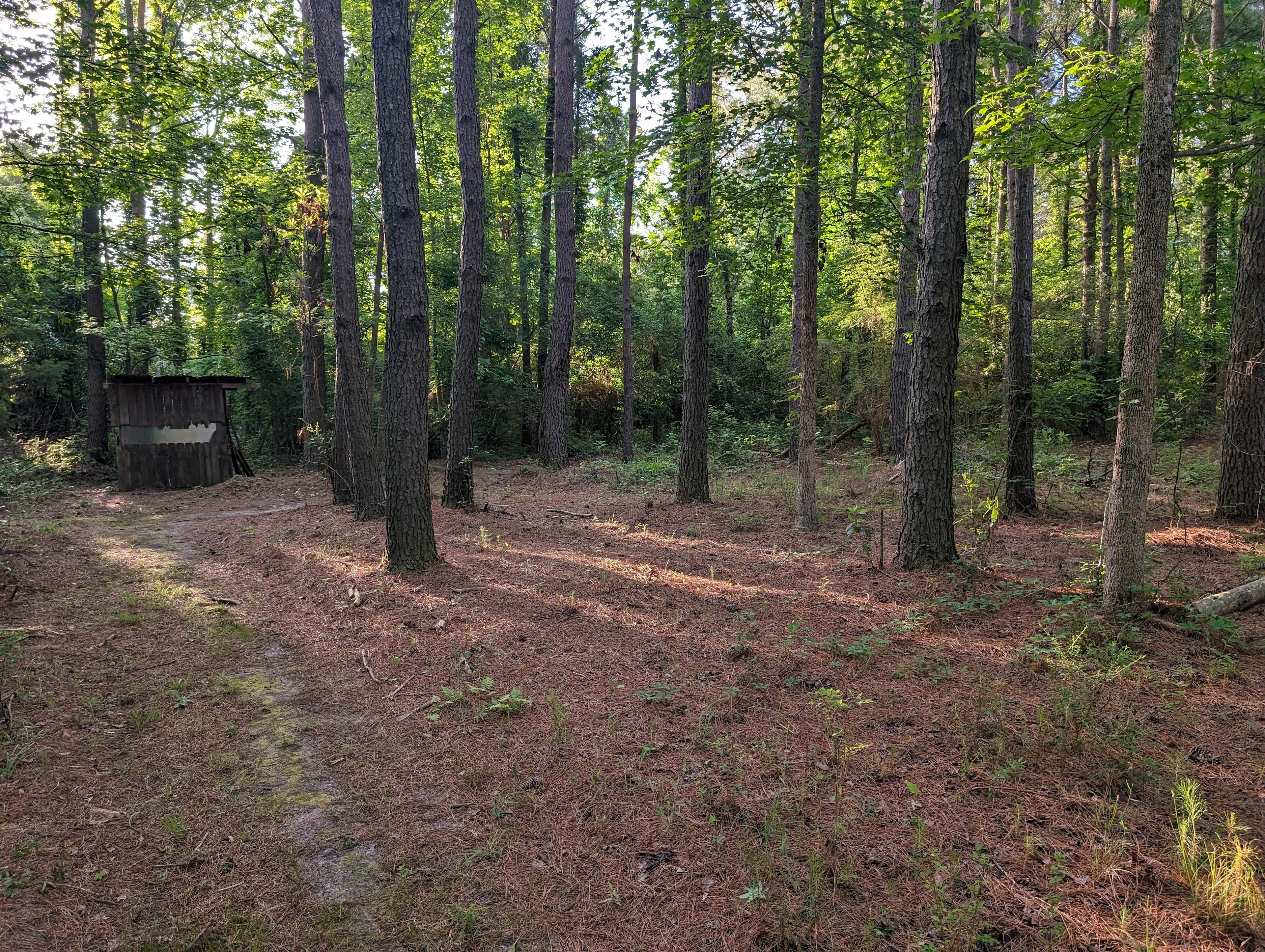 The Mill Creek Spread