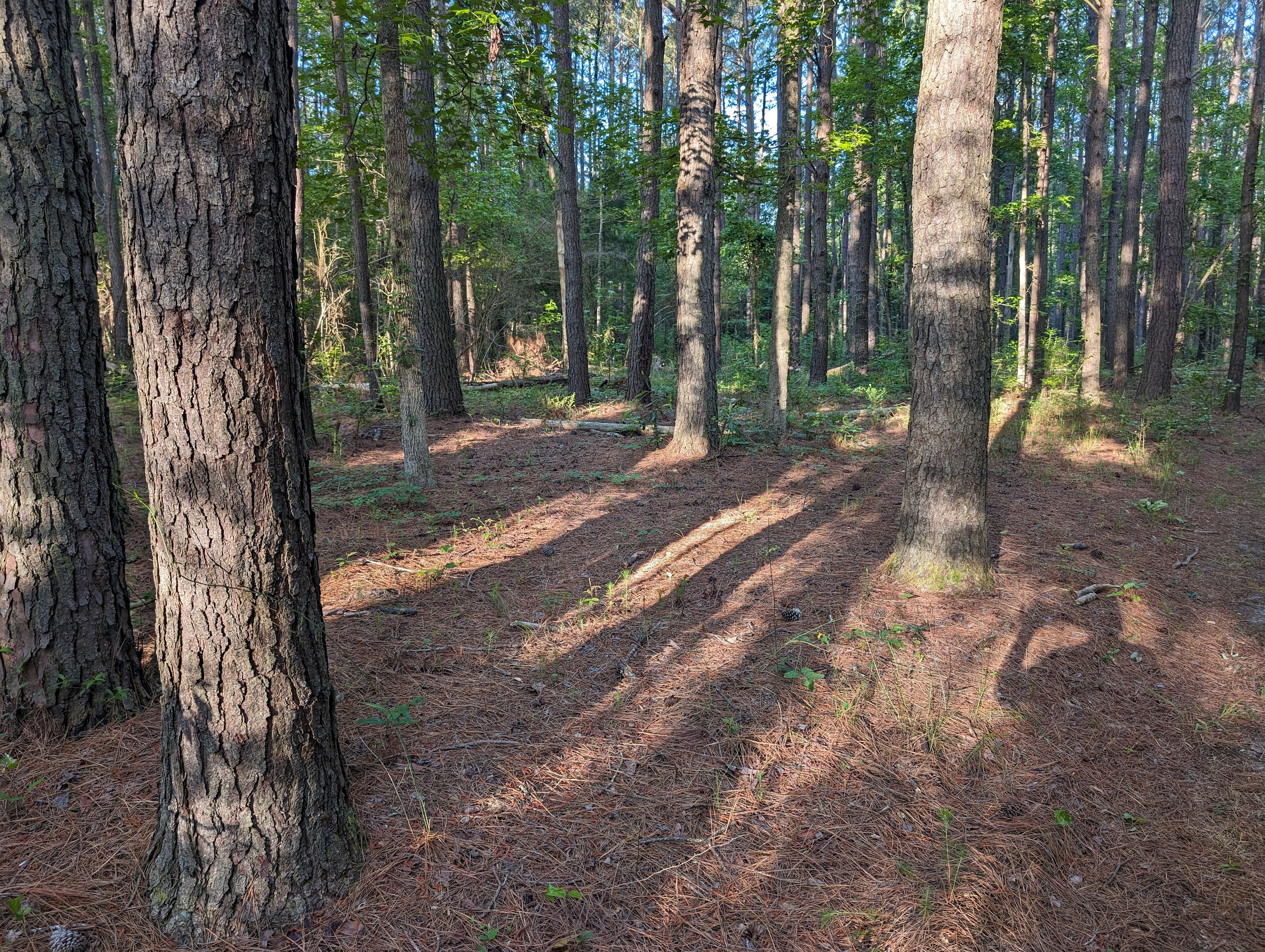 The Mill Creek Spread