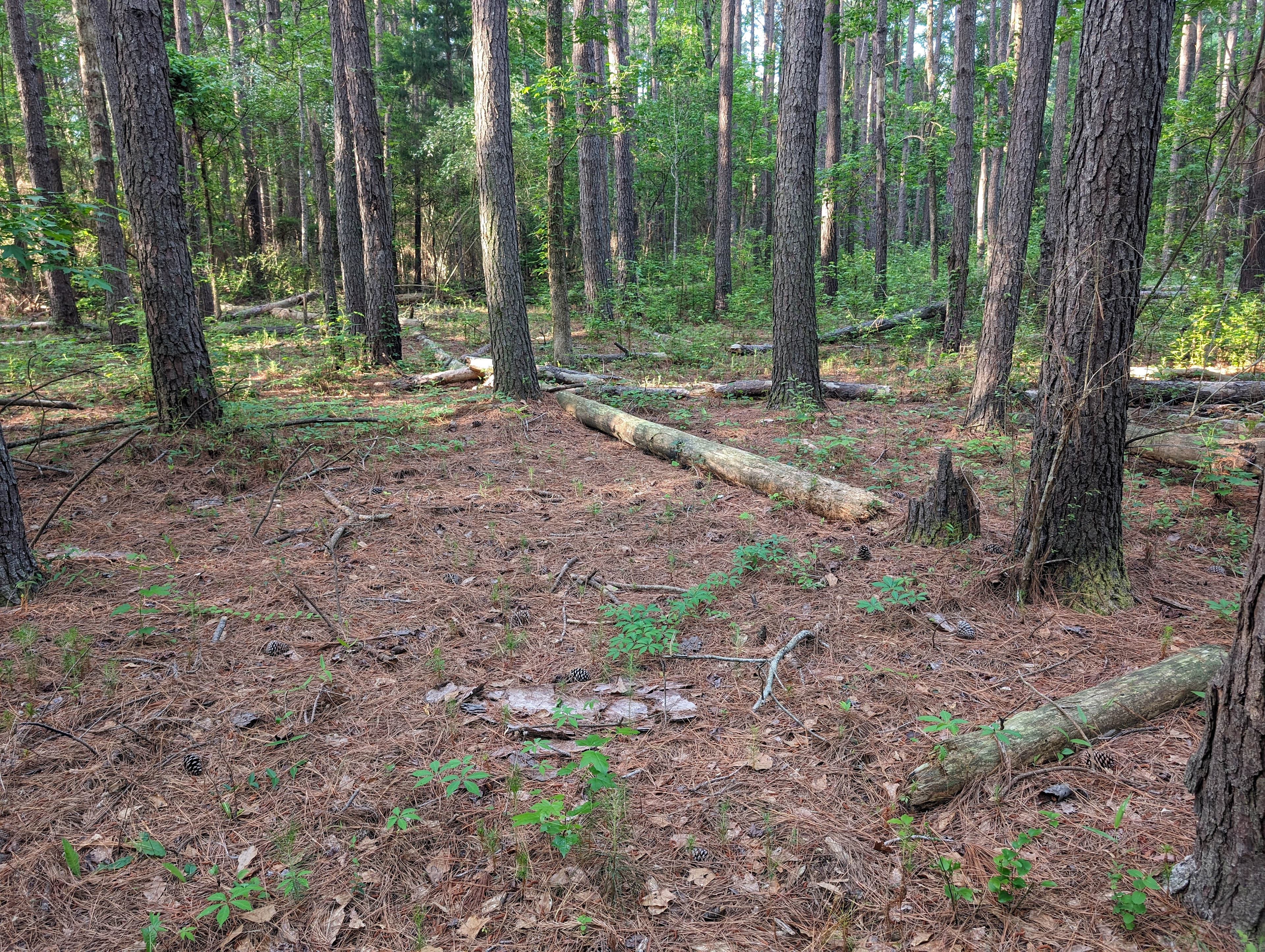 The Mill Creek Spread
