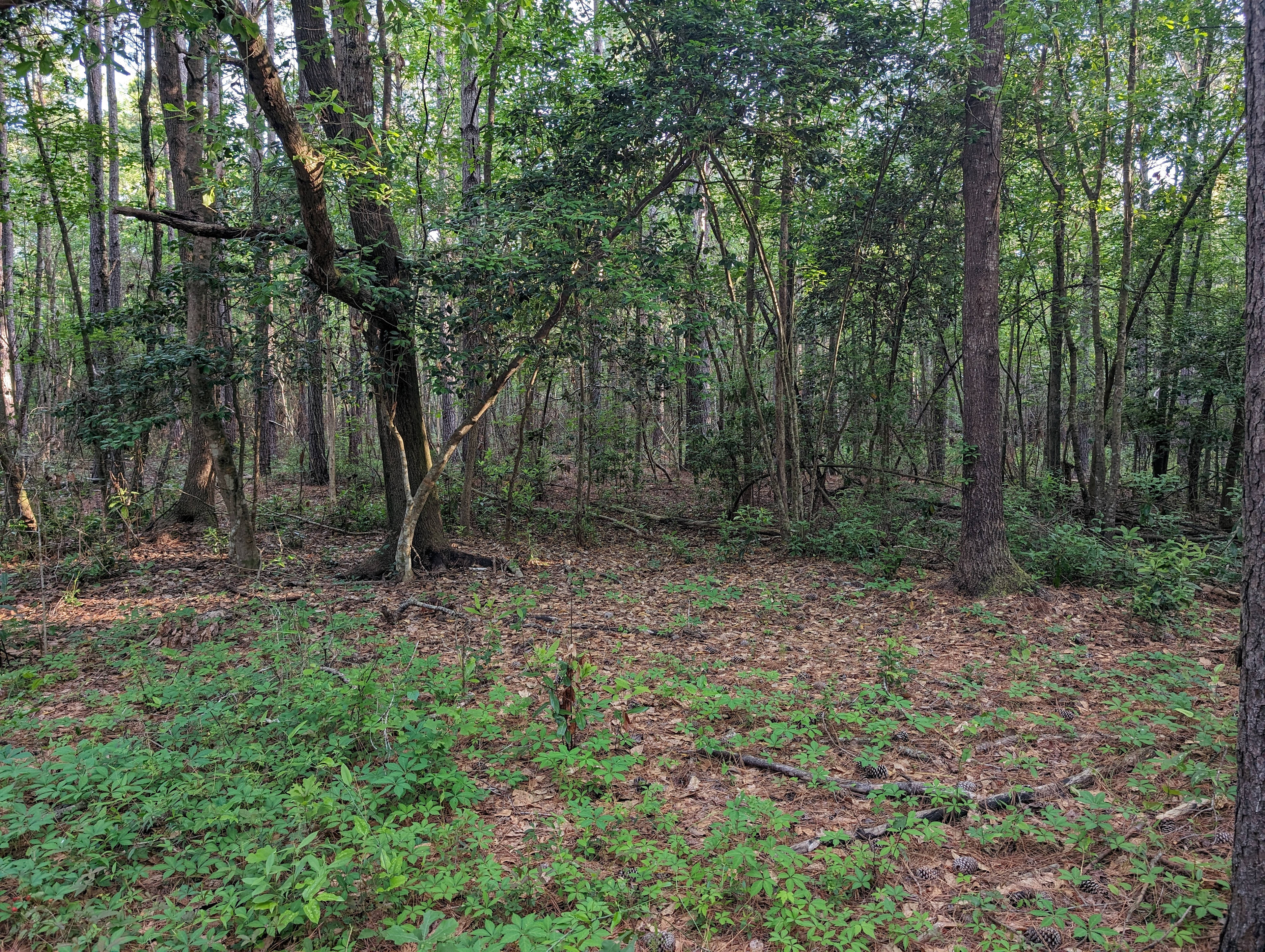 The Mill Creek Spread