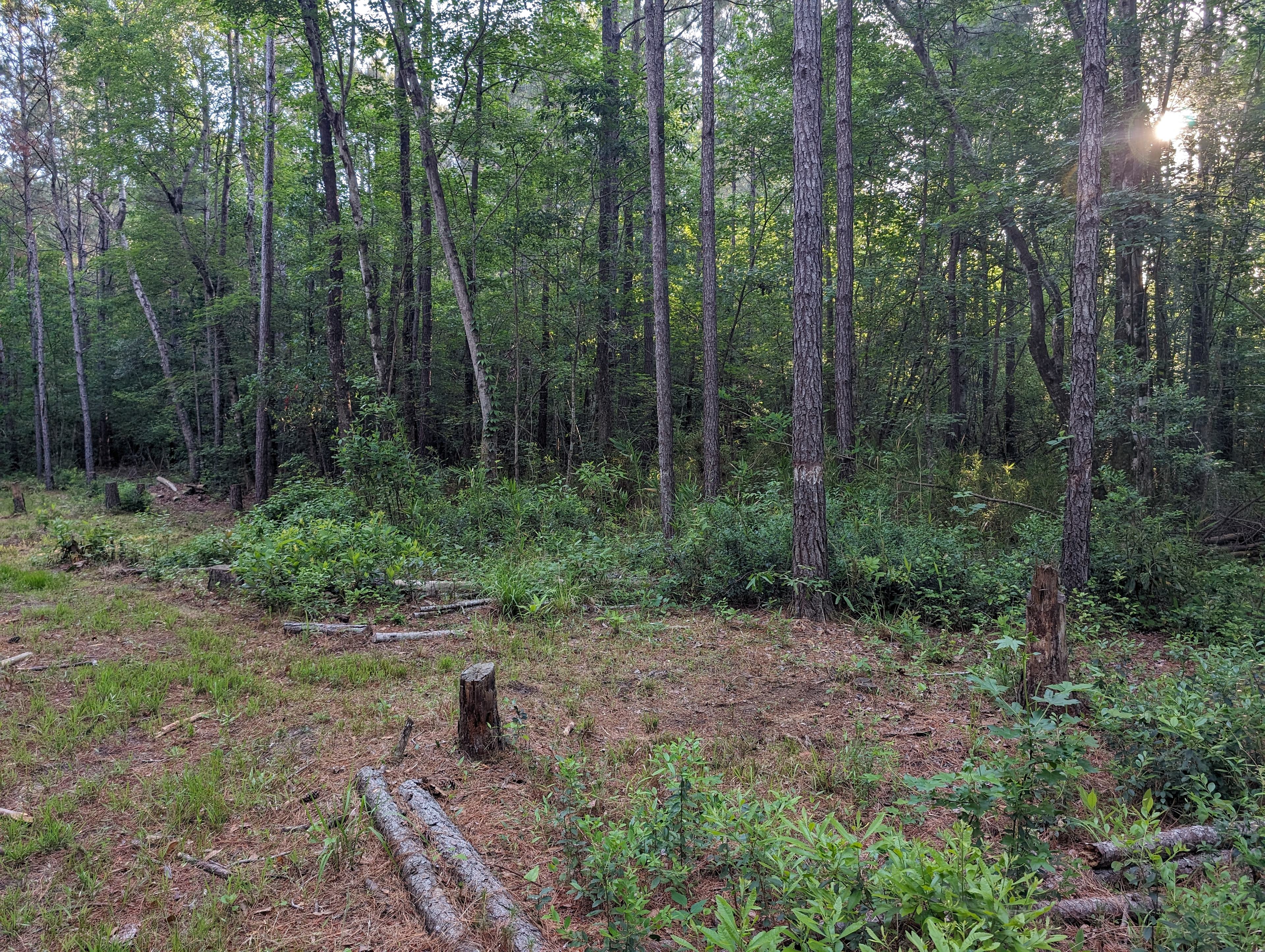 The Mill Creek Spread