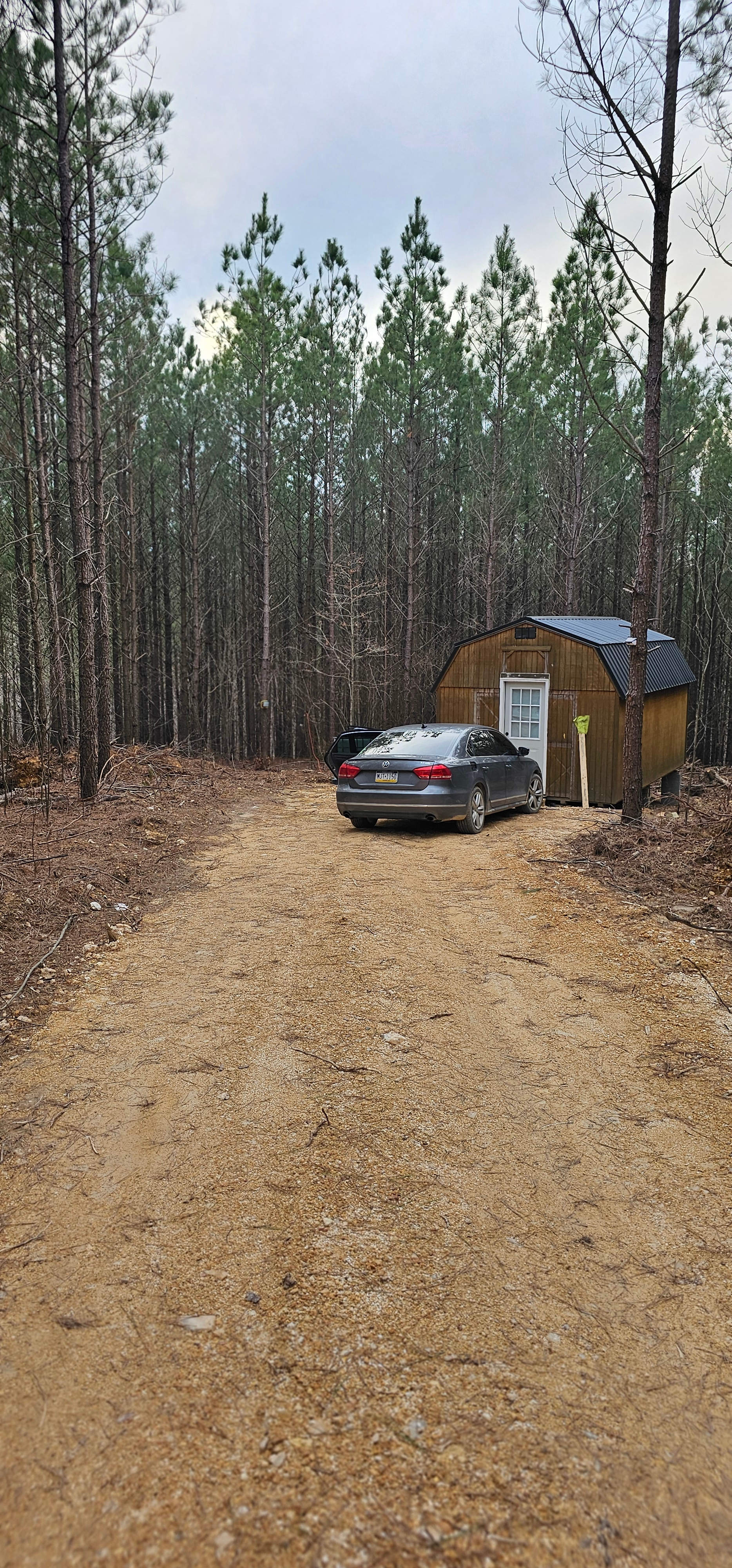 56 Wild Tennesse