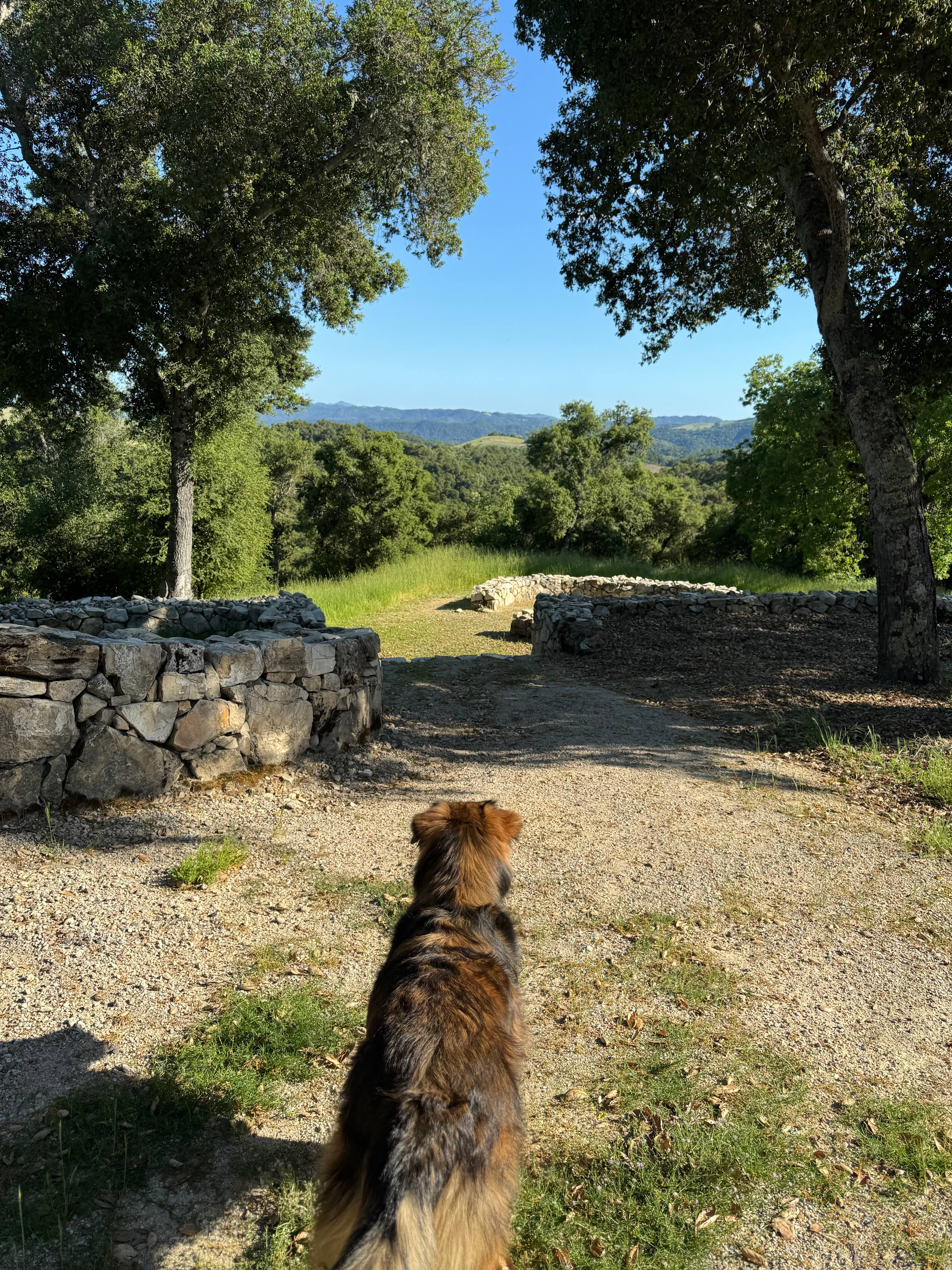 Oak Heart Estate