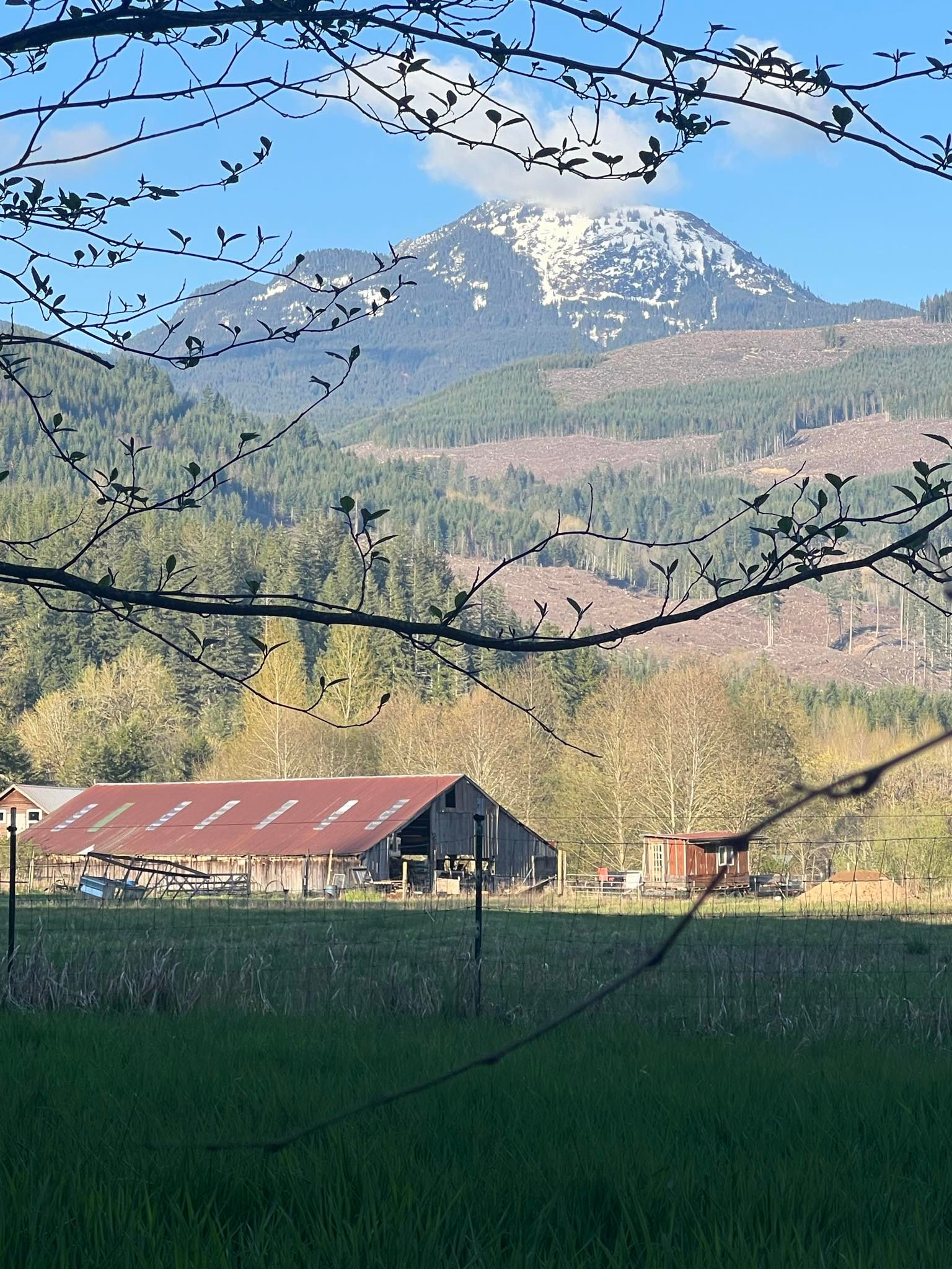 Kragnes Family Farm Mt Baker Camp