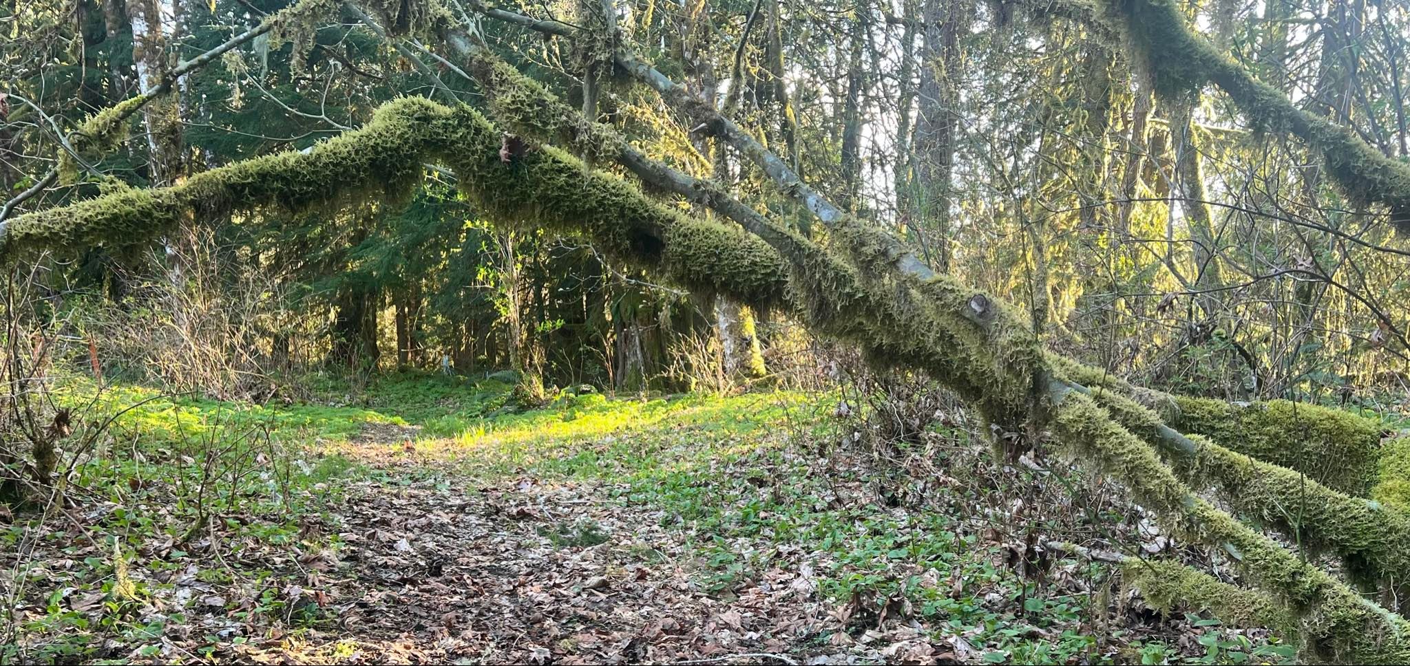 Kragnes Family Farm Mt Baker Camp