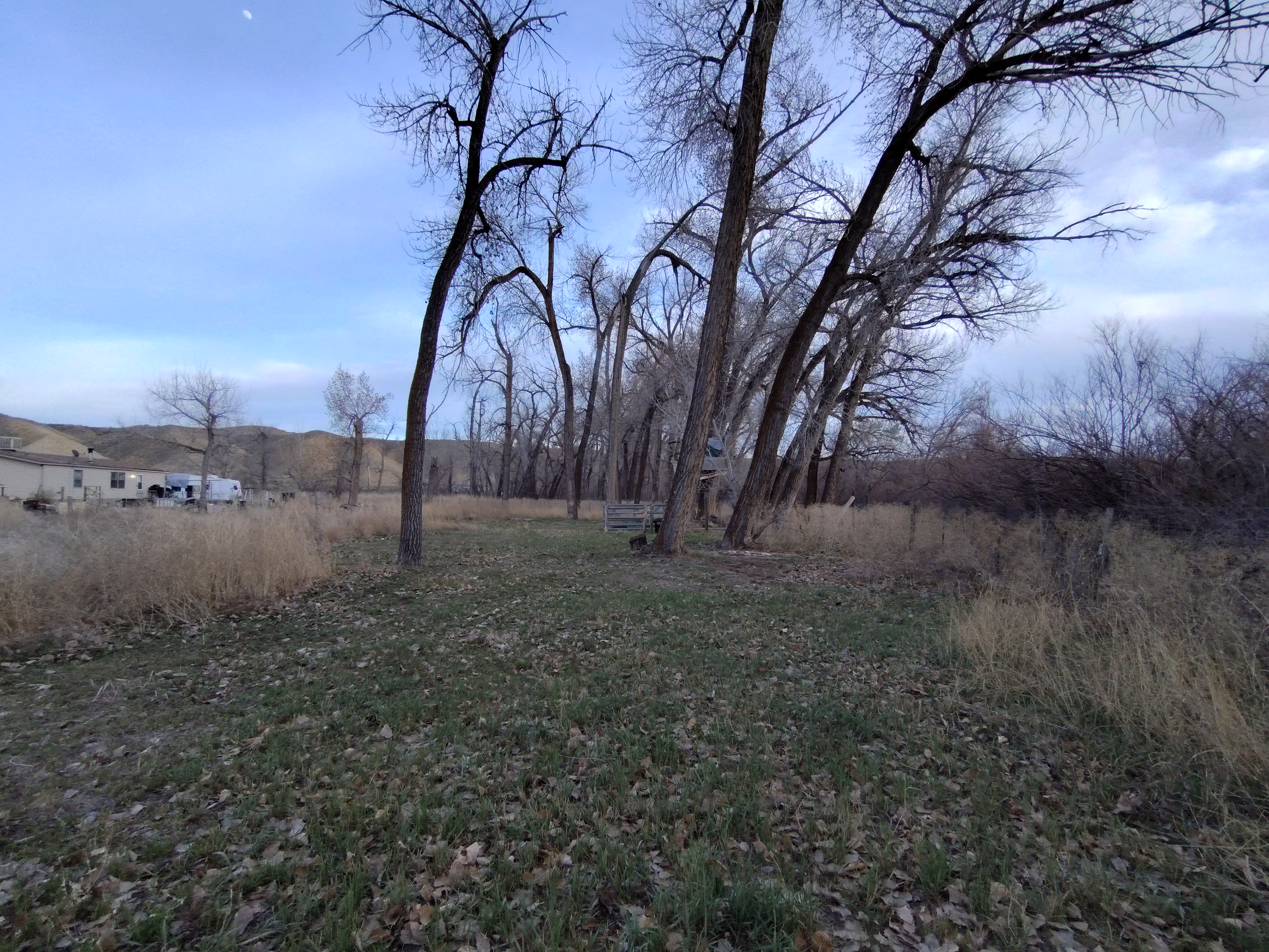 Carter Family Property