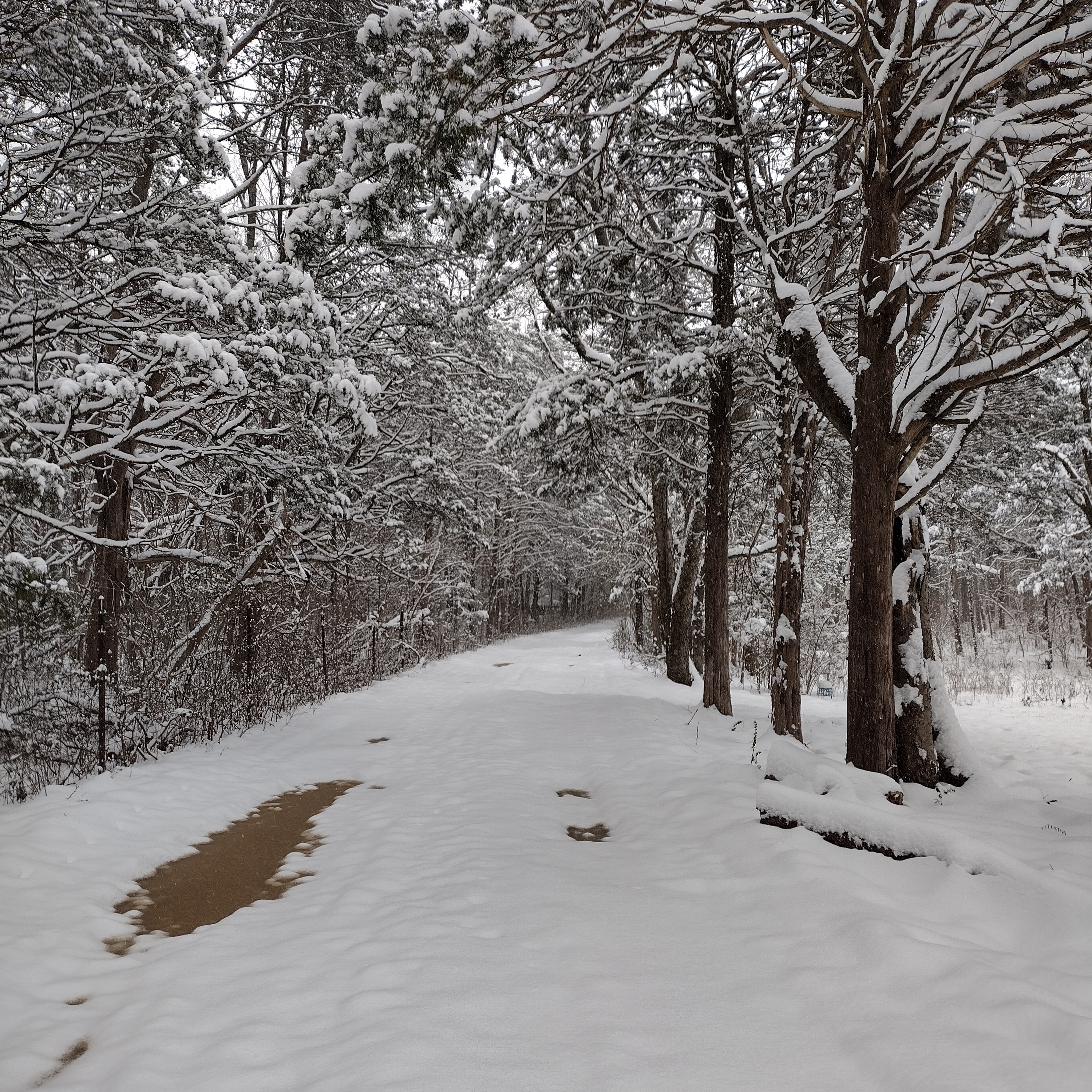 Priest Lake Property