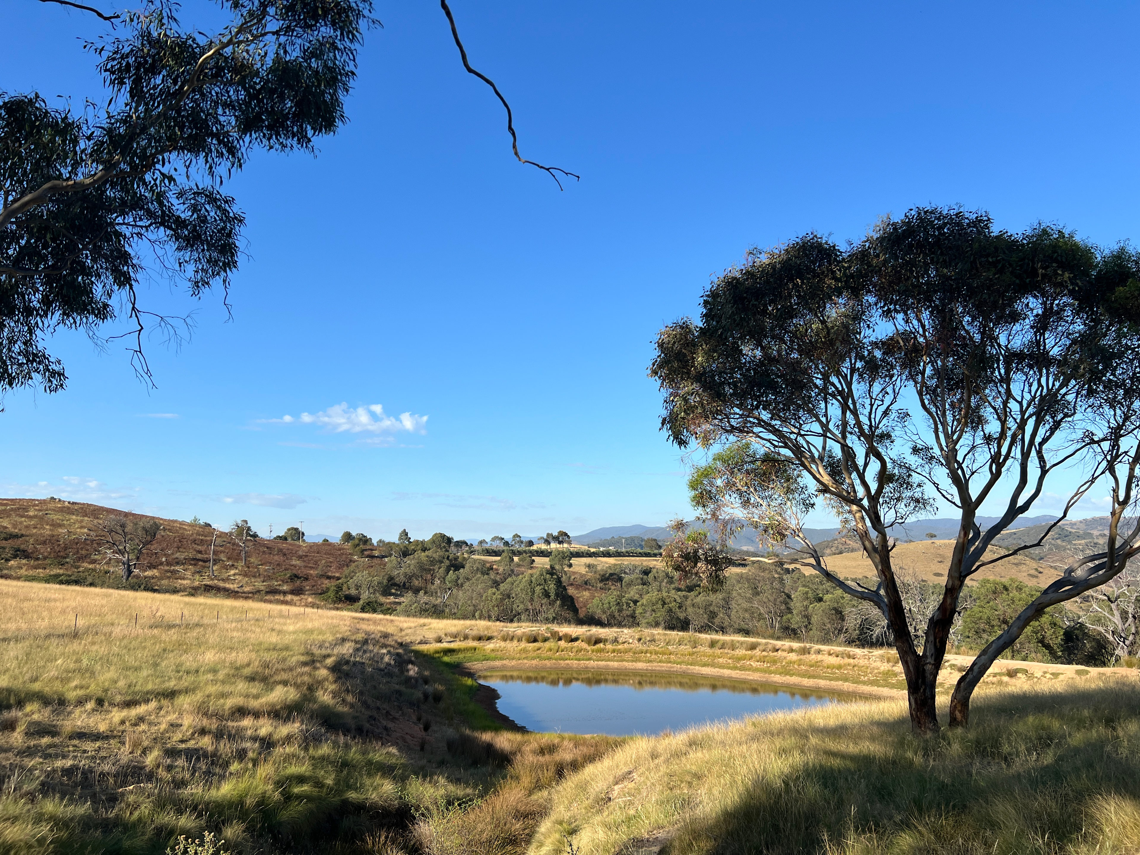 Burrendah Farm Camp