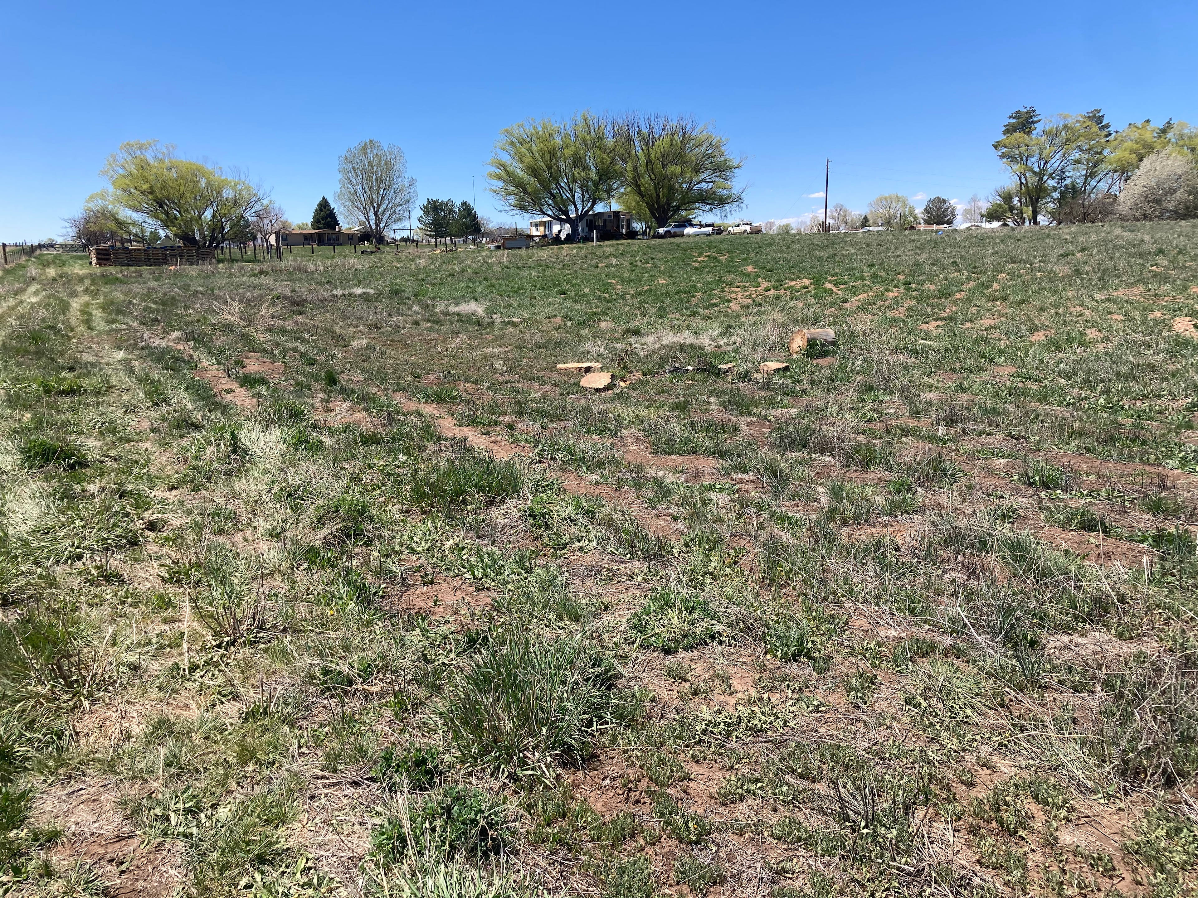 Quiet spot and a view of Mesa Verde