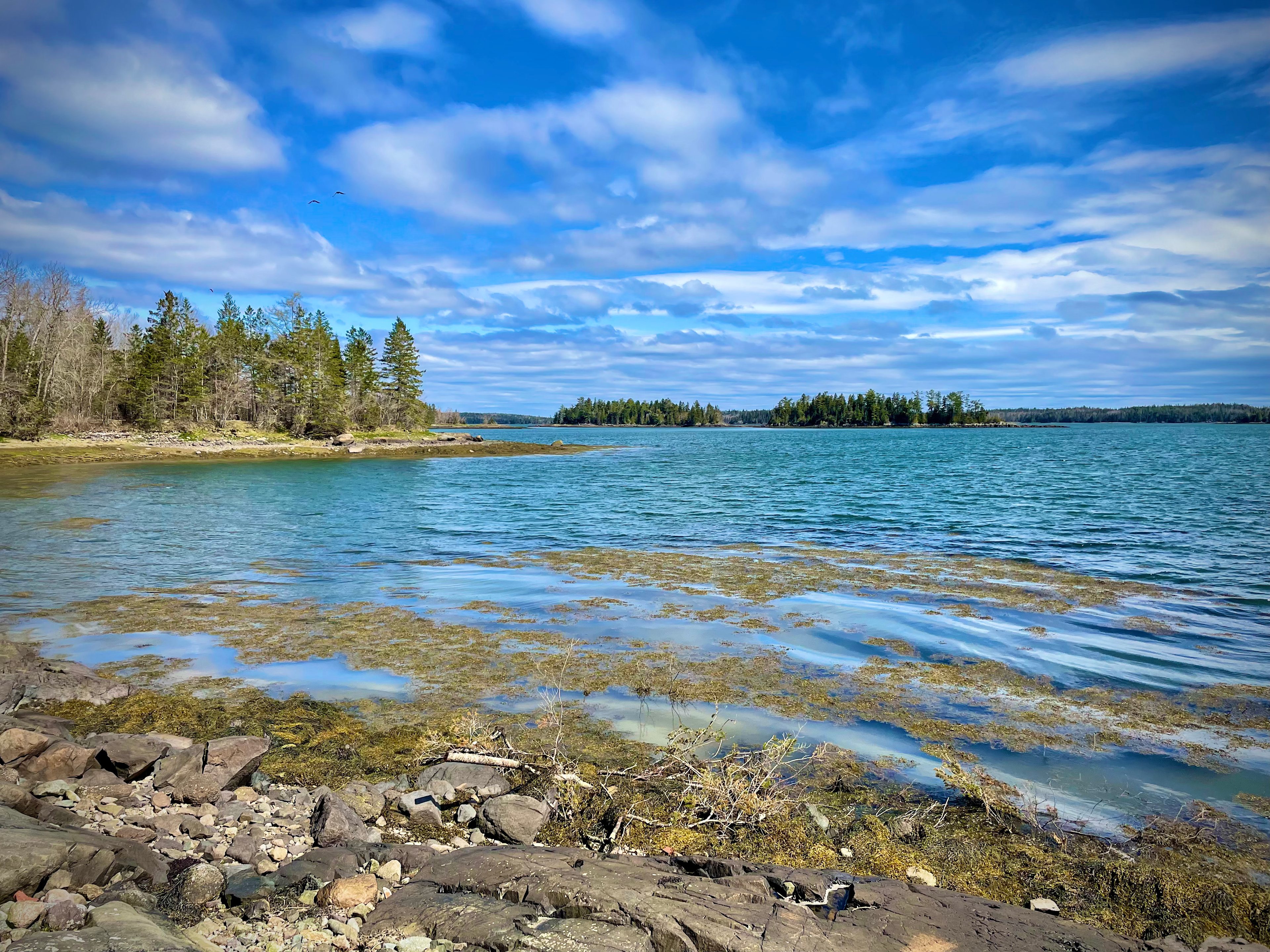 SPECTACULAR SEASIDE YURT