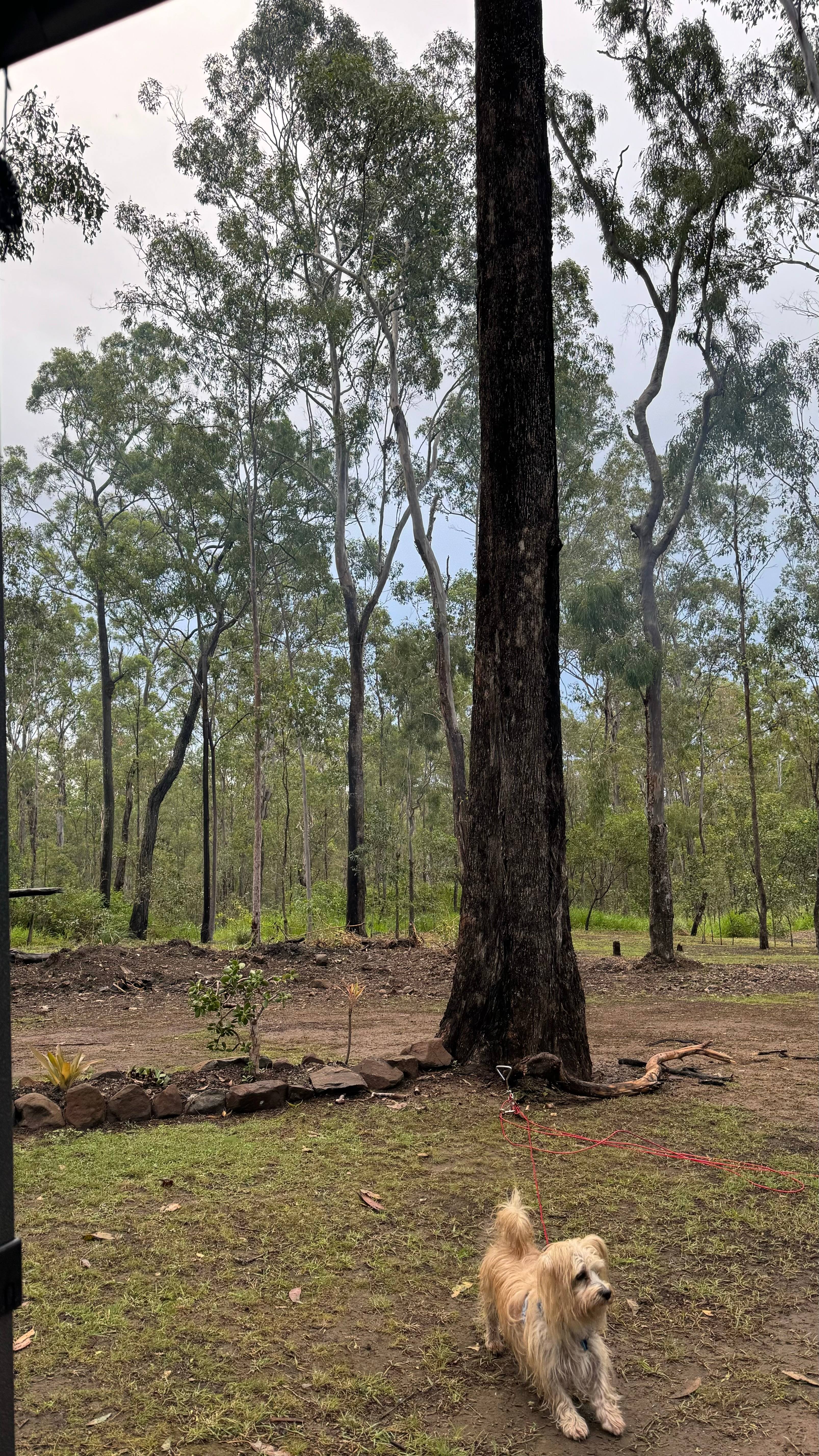 TLC - The Luke’s Compound