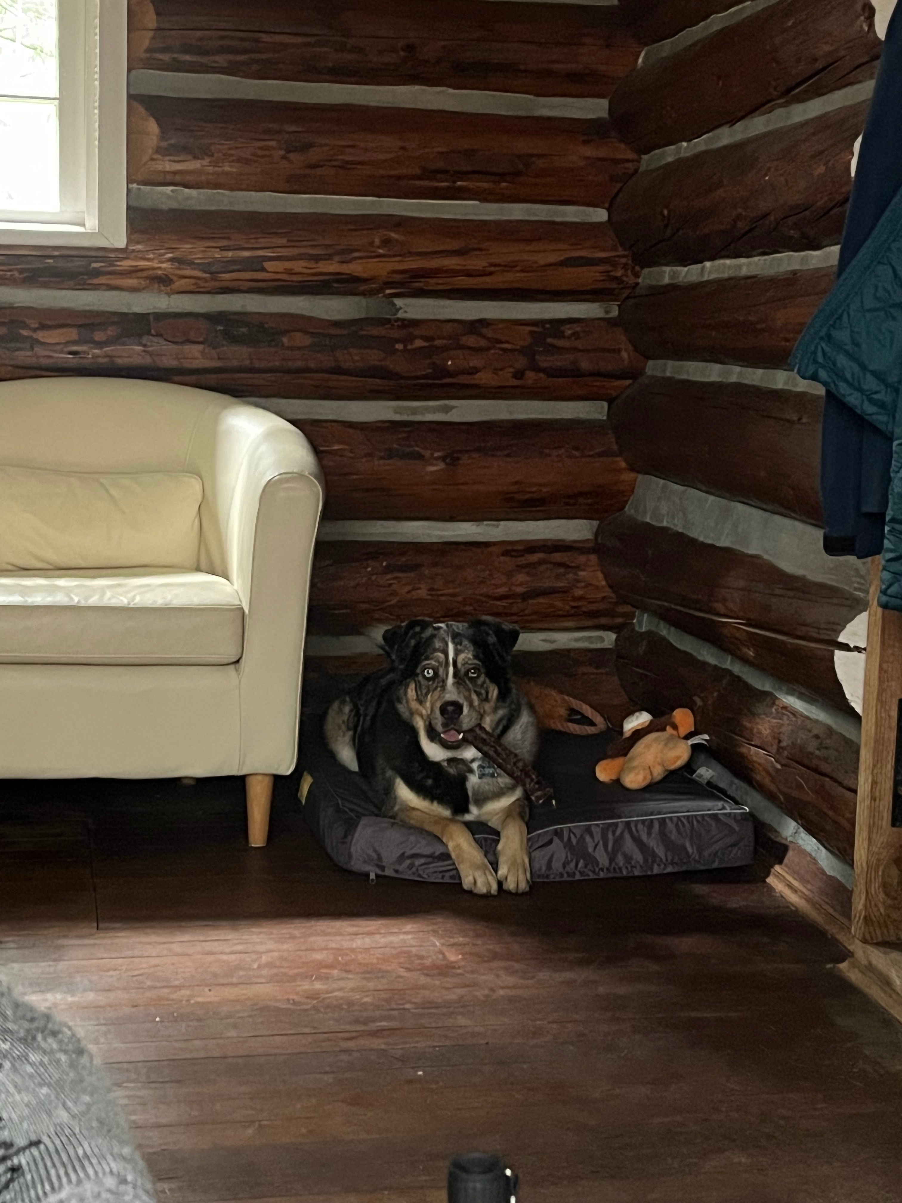 ✨Suzy’s Magic Lil Log Cabin✨✌🏻