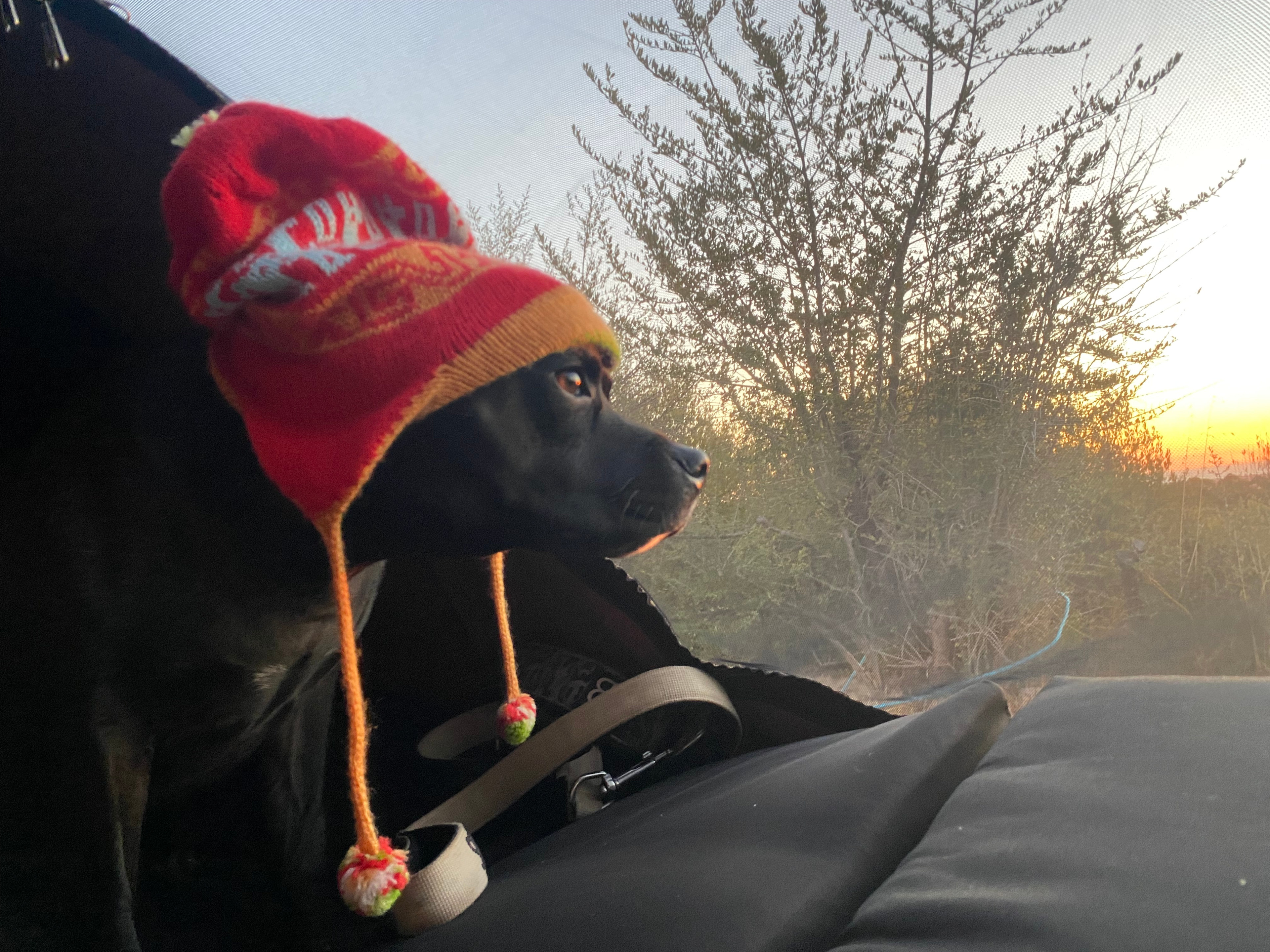McLaren Vale National Park View