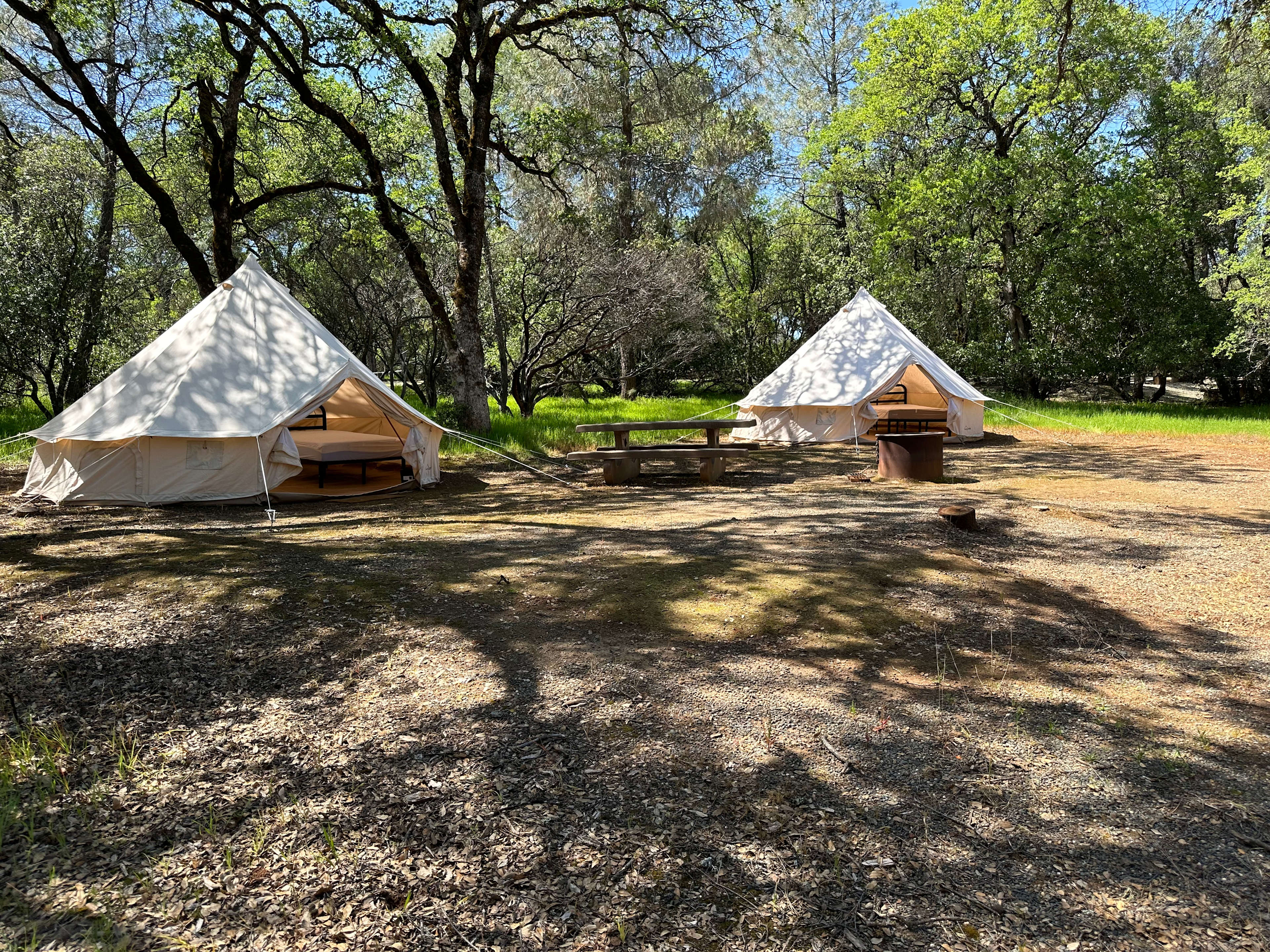 Lake Oroville Glamping