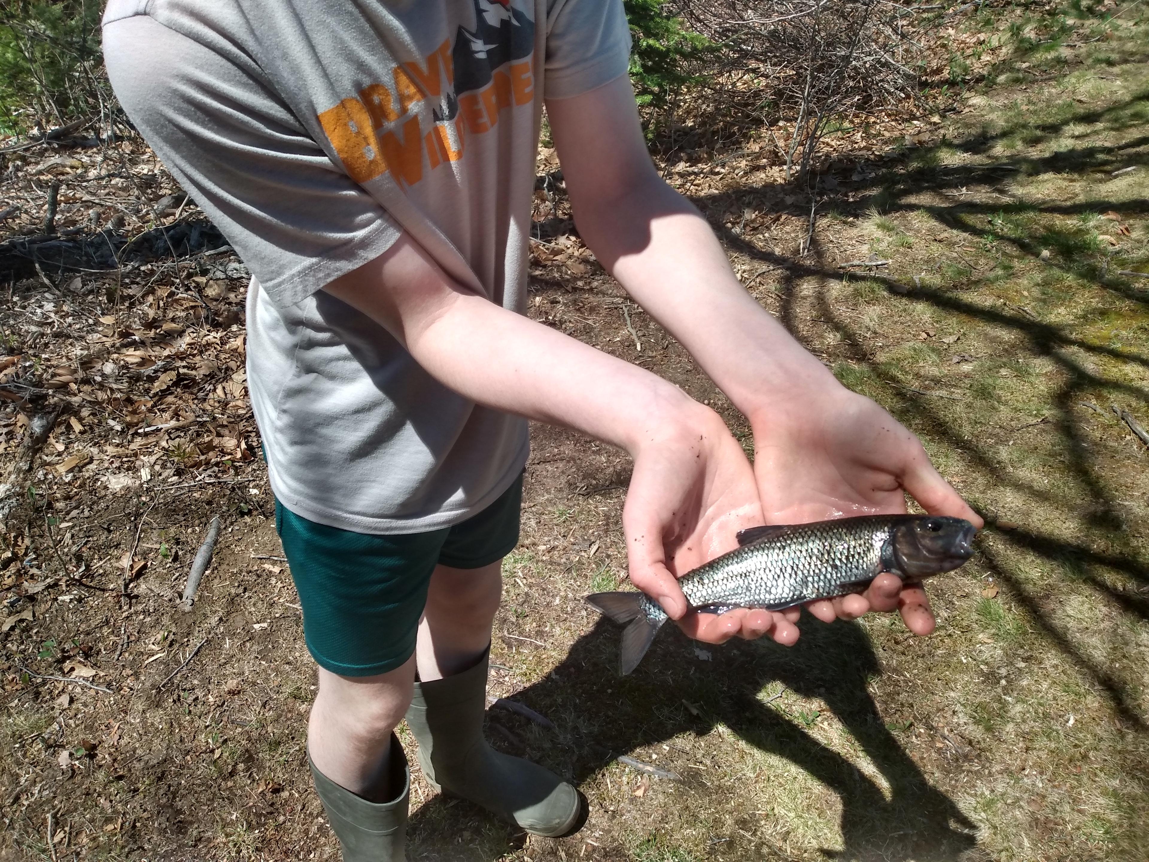 Graham Cracker Cabin and Campsites