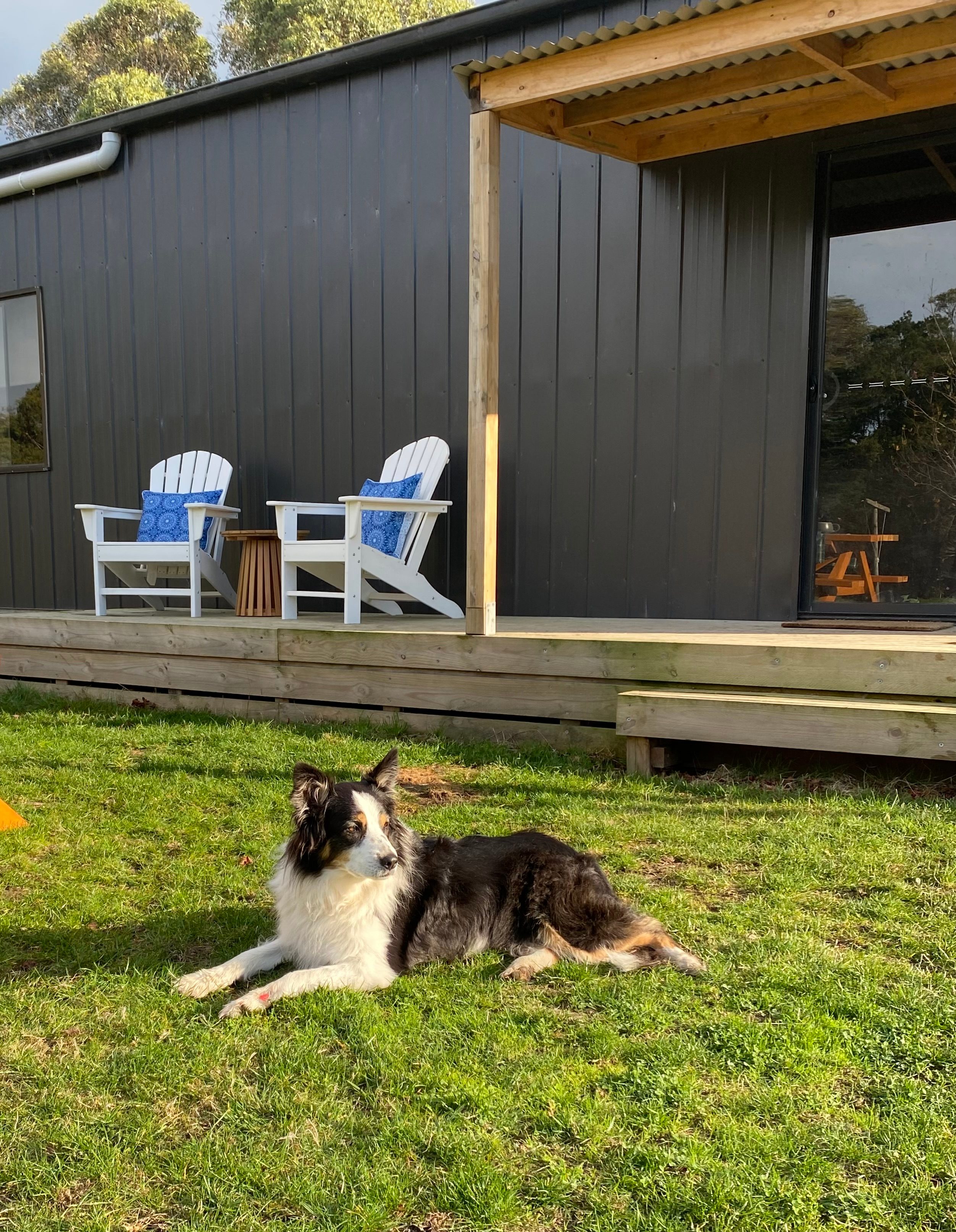 Shedquarters Bush Escape