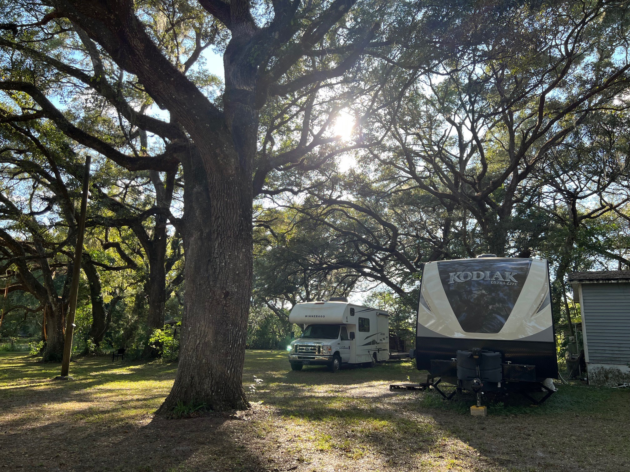 Enchanted Oak Paradise