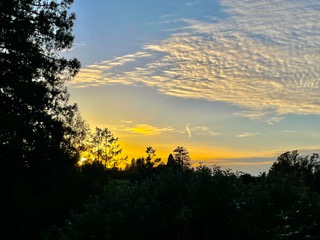 Redwoods Camp Retreat