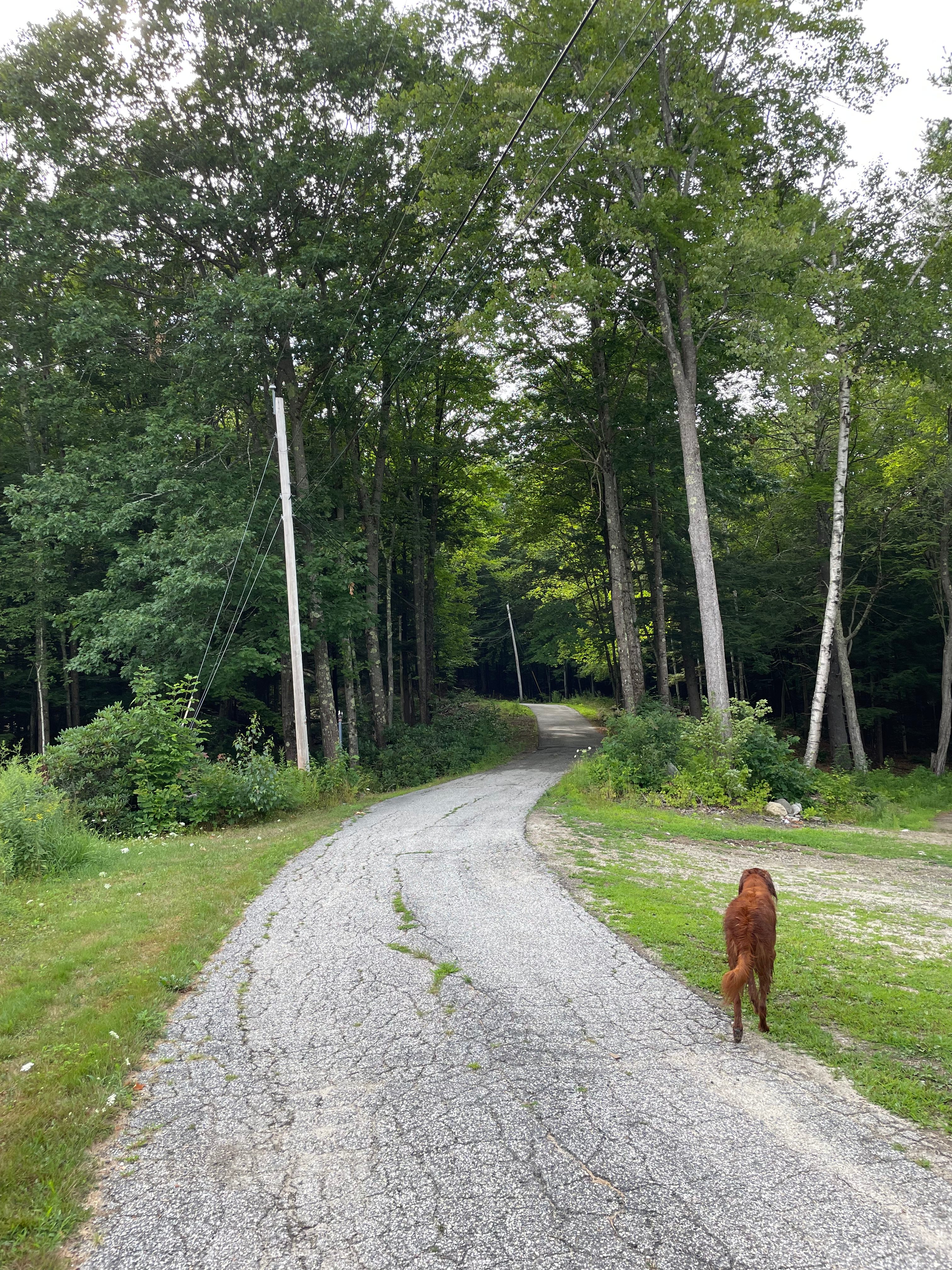The Land Kindred