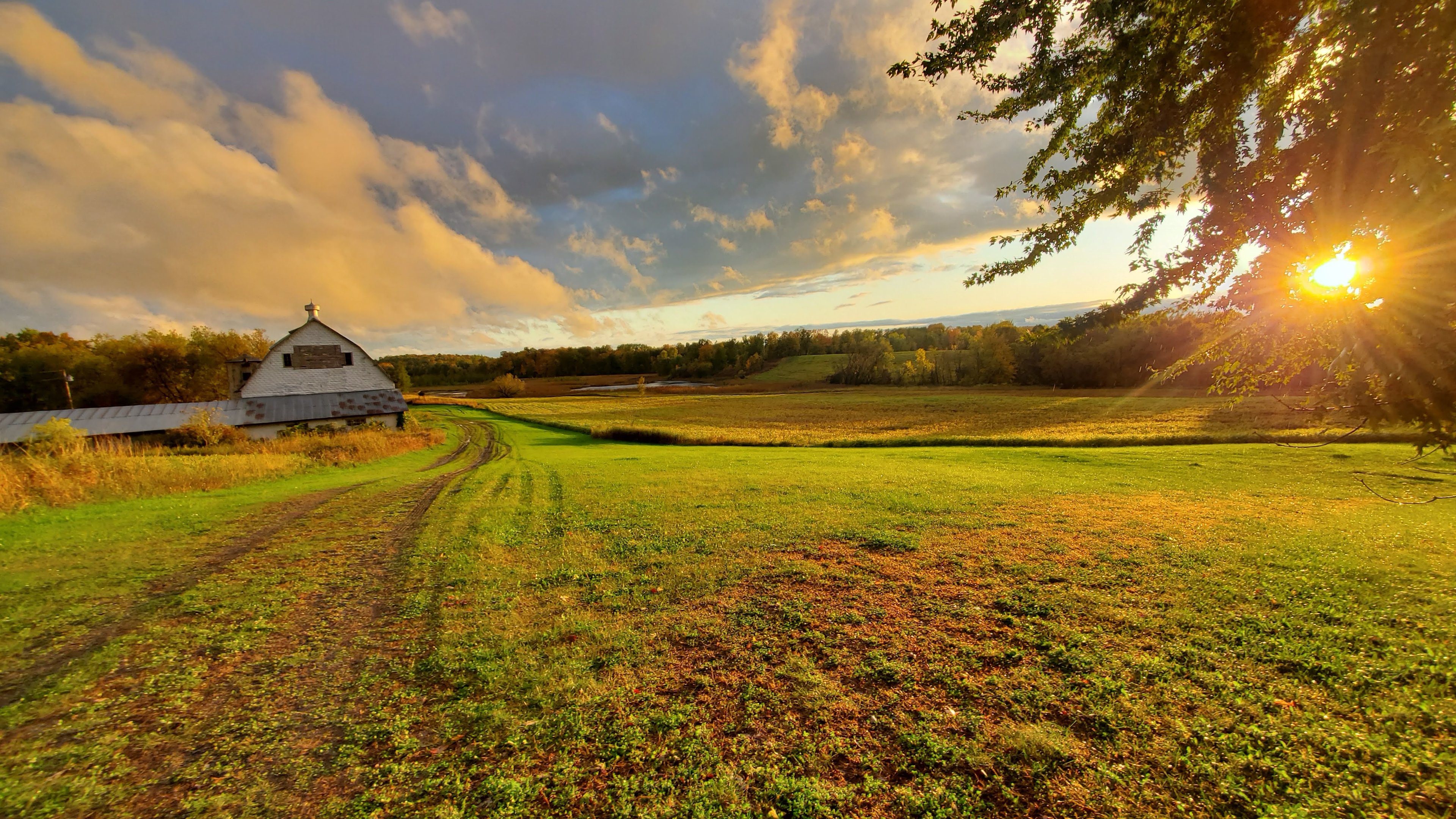 Rustic Haven Retreat on 80 acres