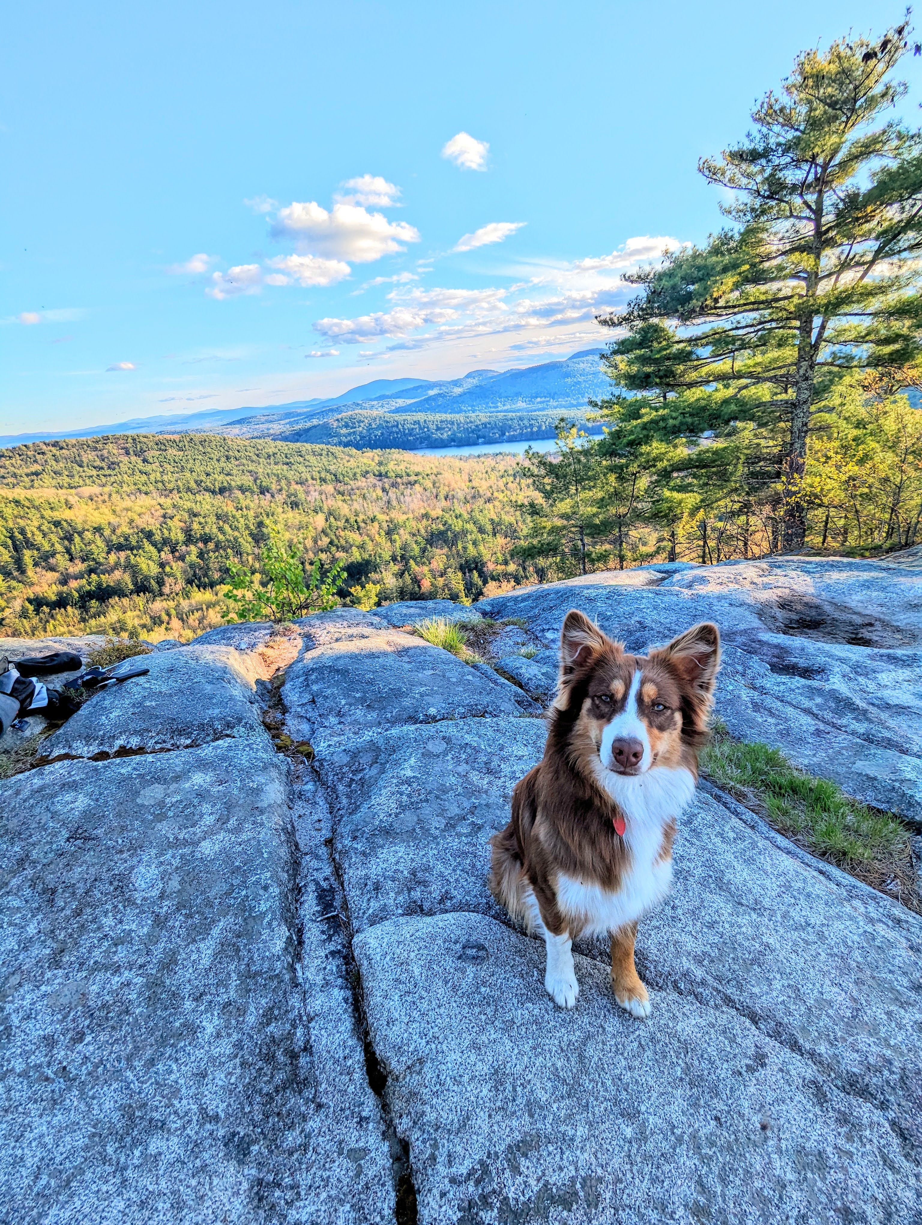 Glamping on the farm