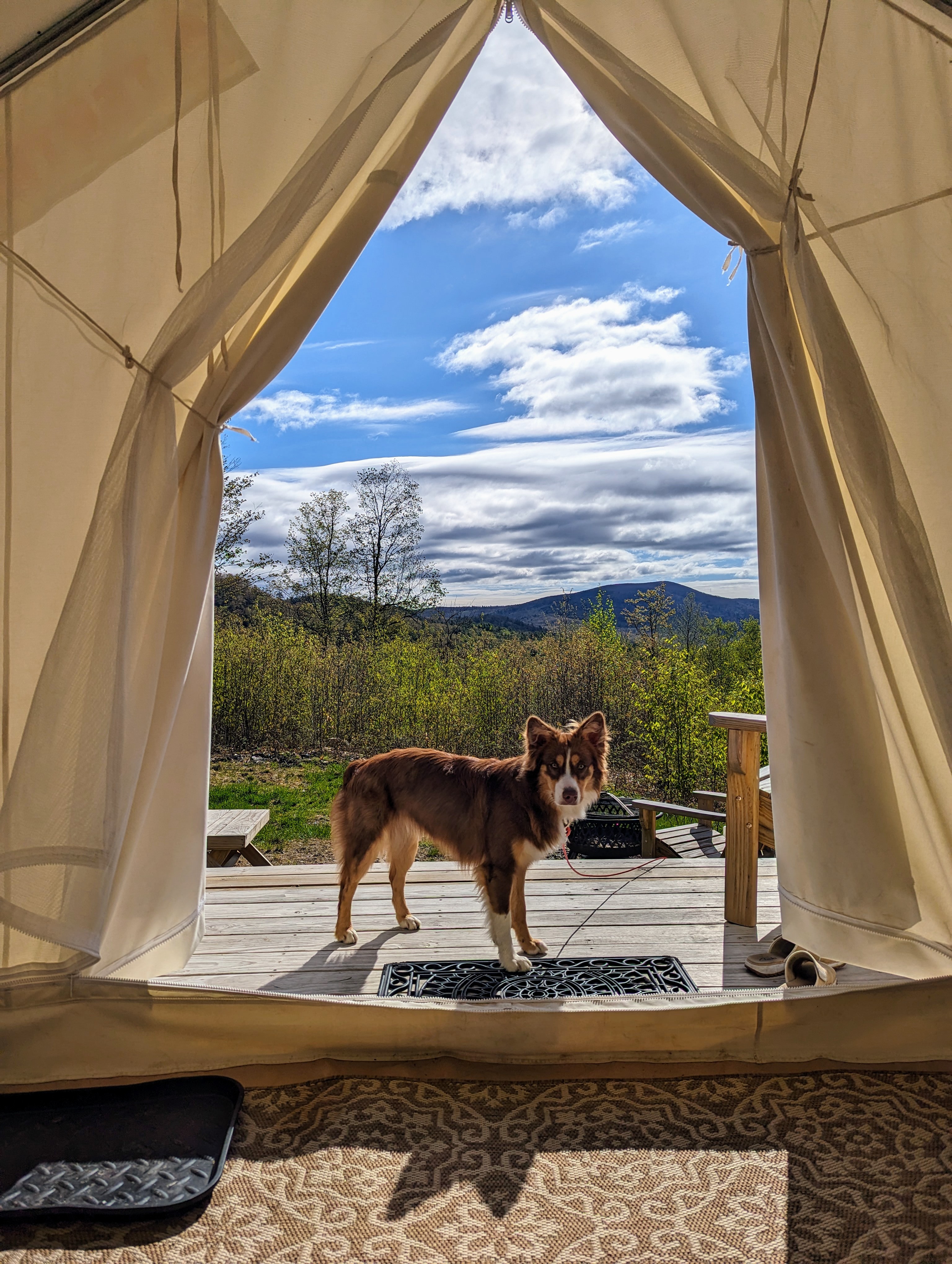 Glamping on the farm