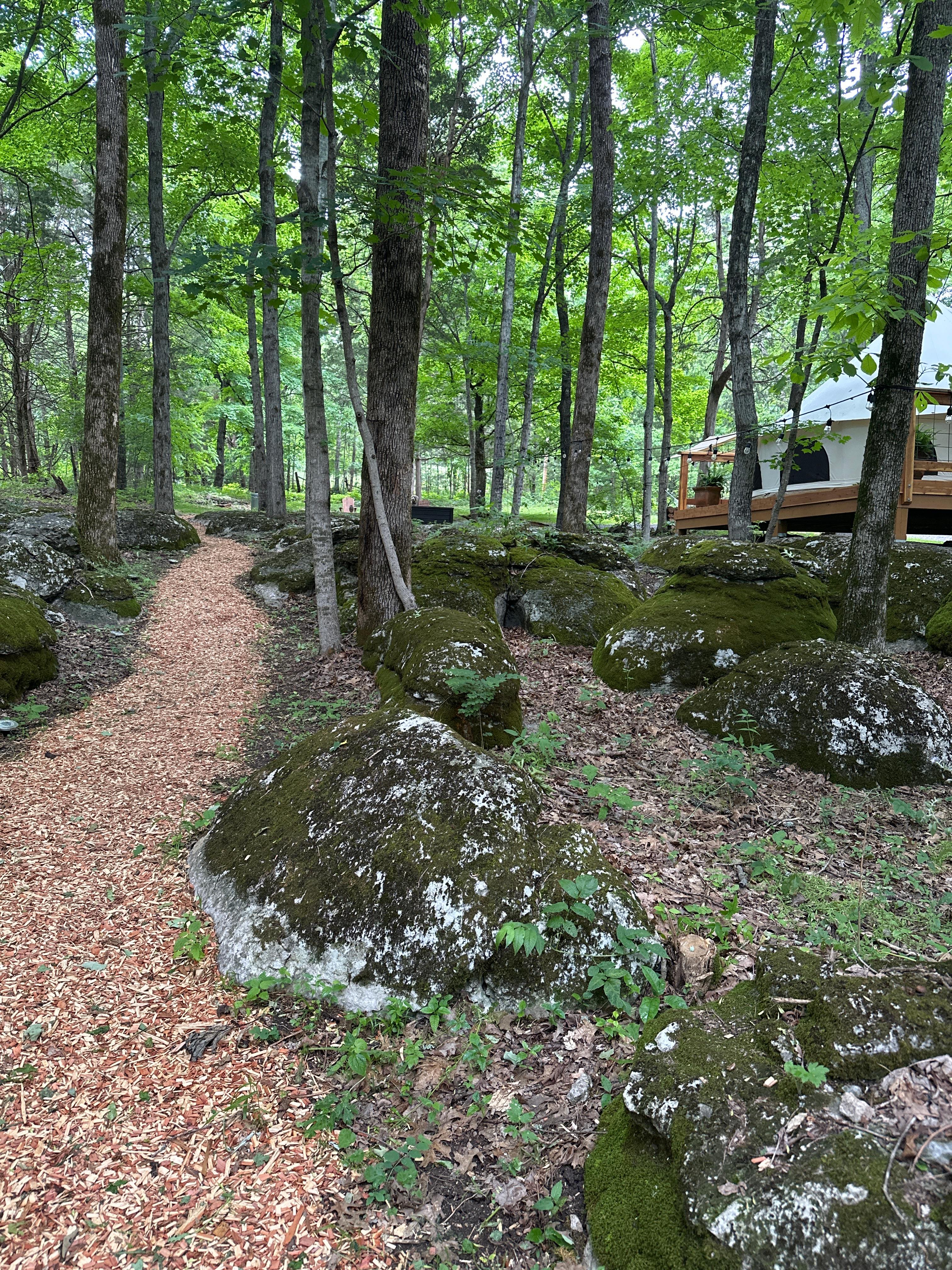 On The Rocks Campsite