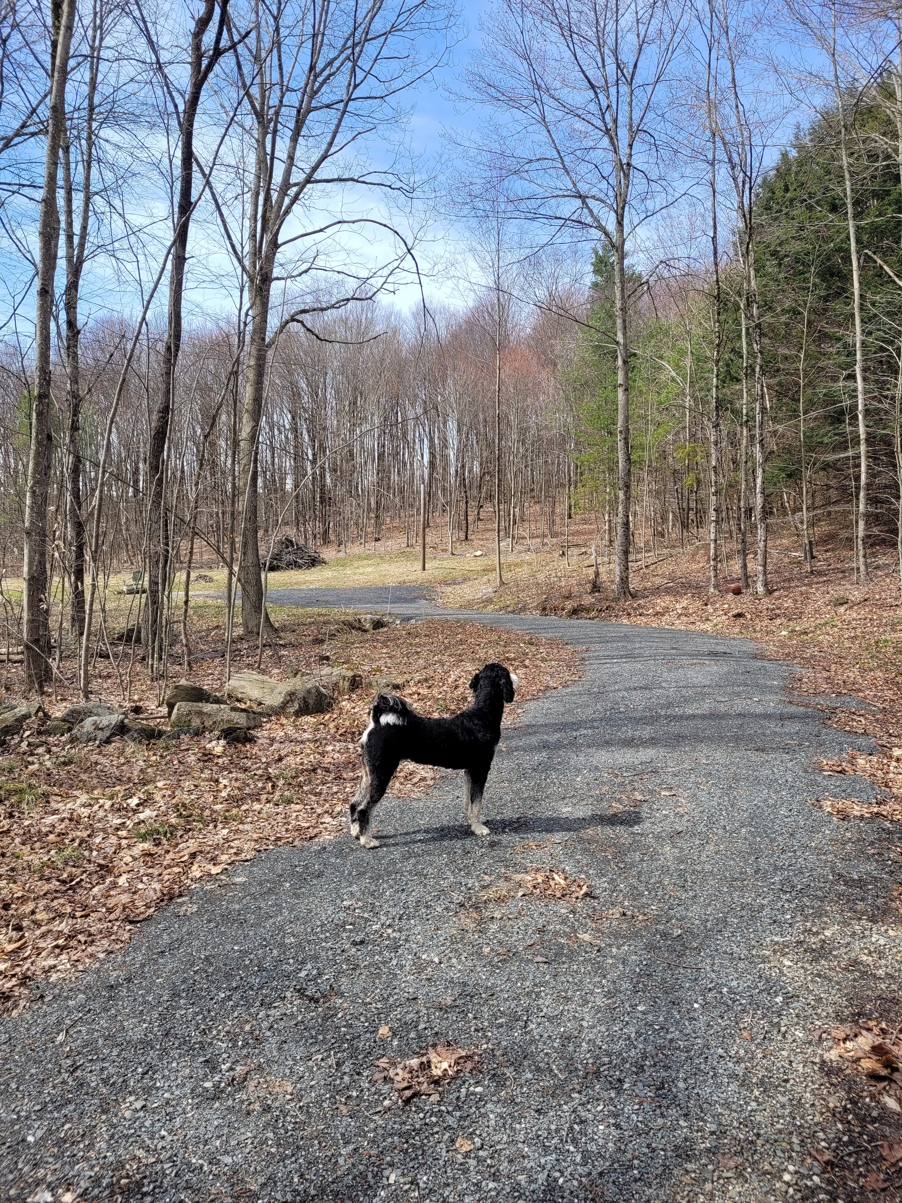 Penti Haven Farm & Horse Retreat