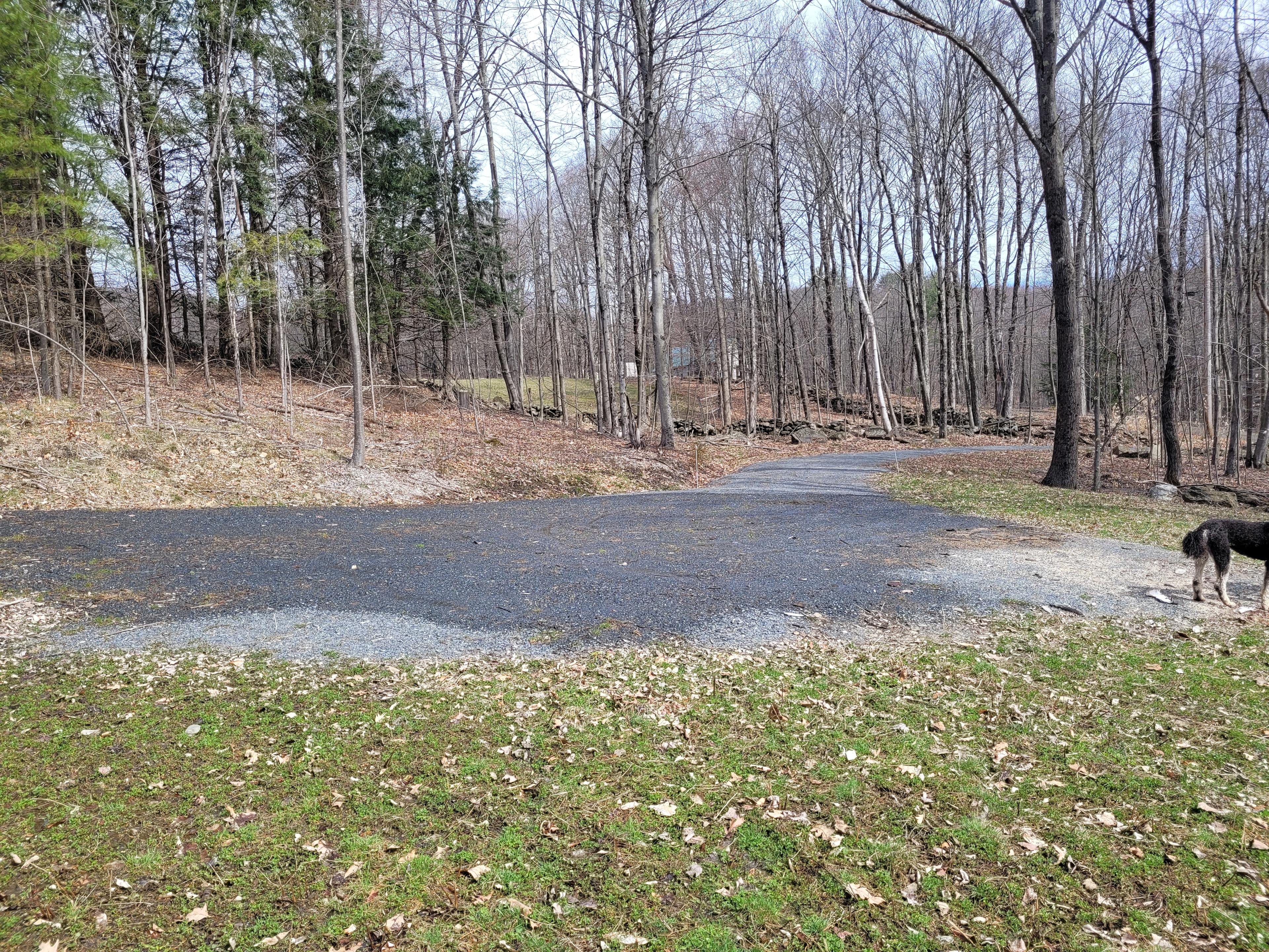 Penti Haven Farm & Horse Retreat