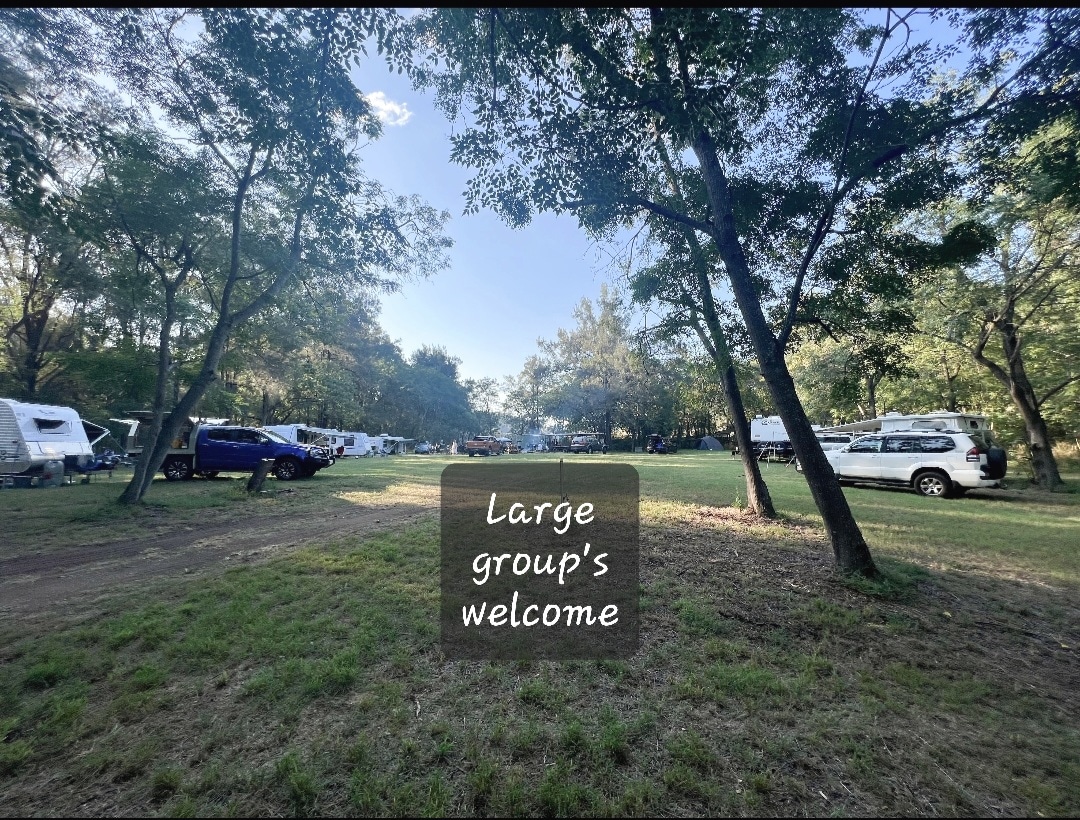 Beelisco Honey Hipcamp