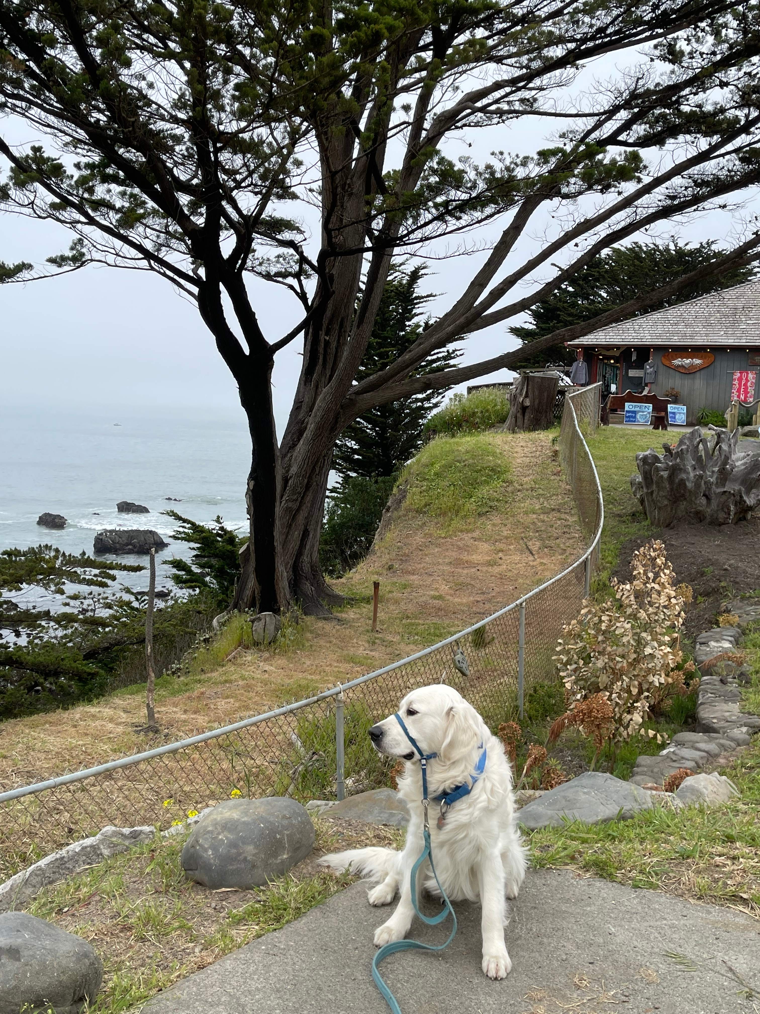 Shelter Cove