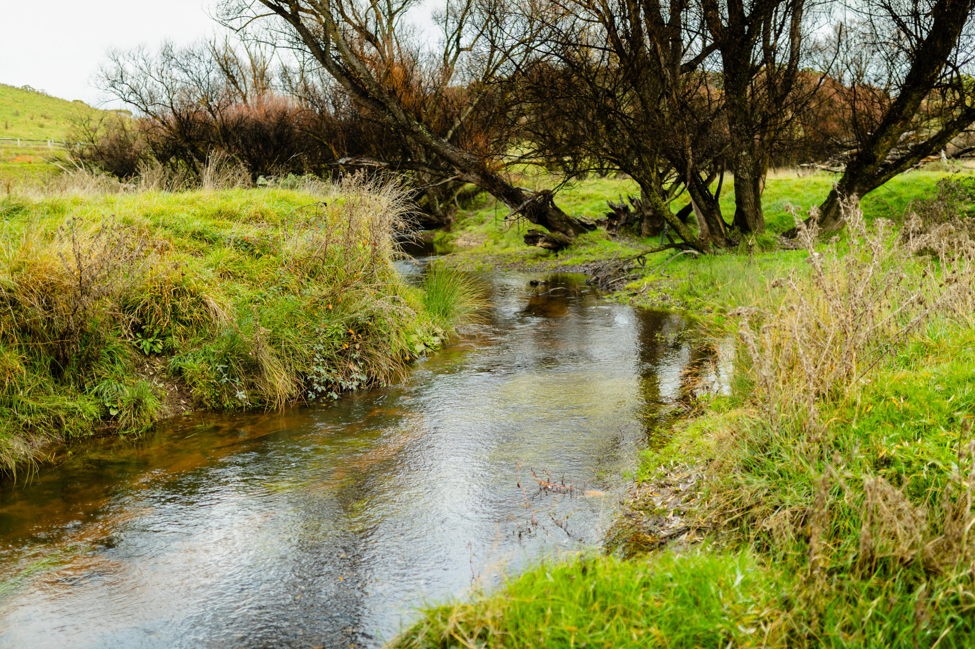 Creek that flows into the Oberon Dam