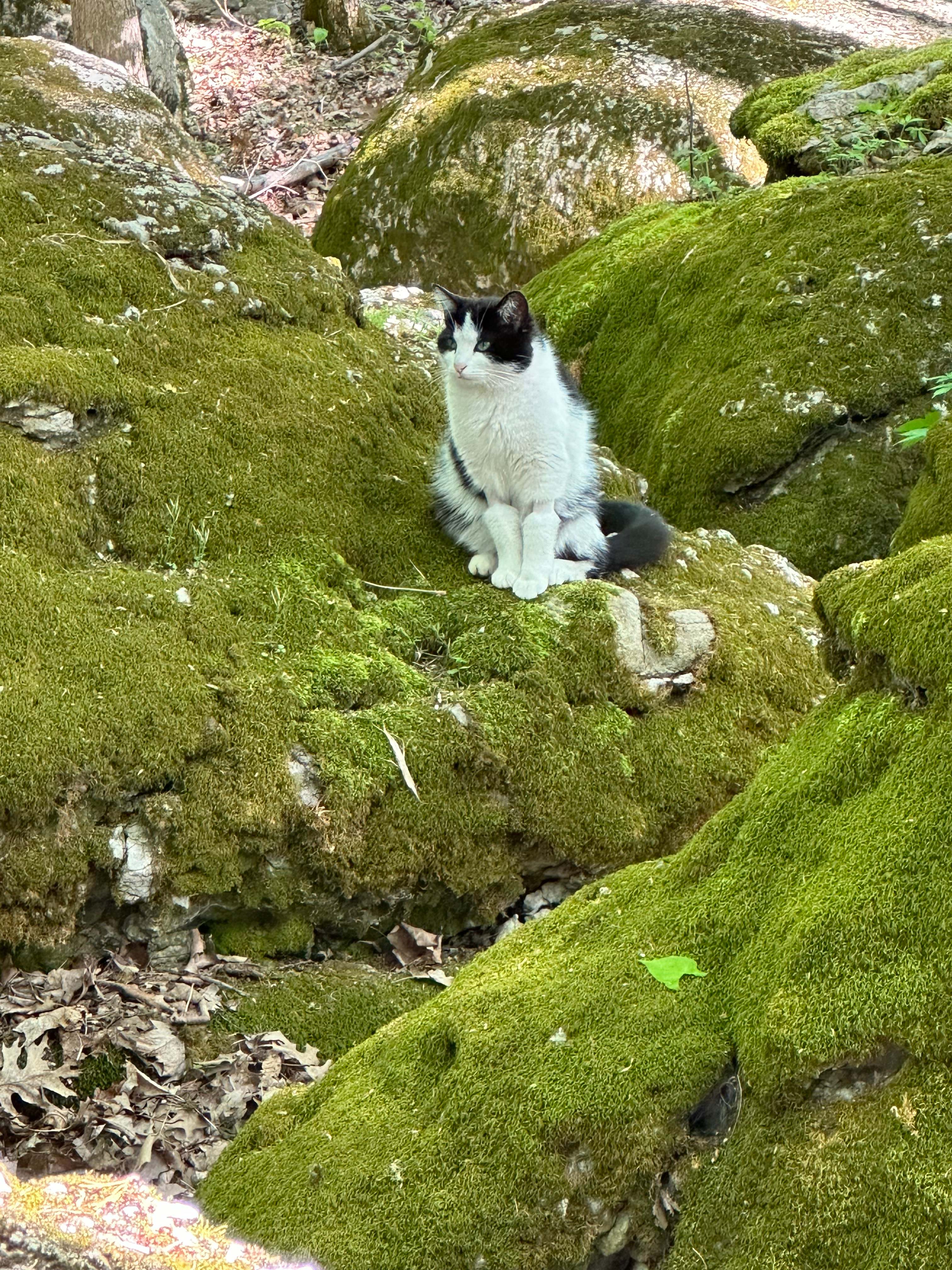 On The Rocks Campsite