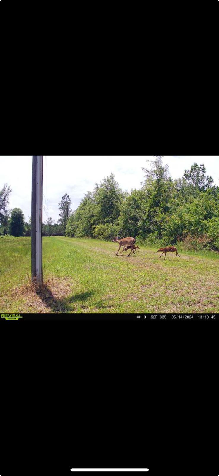 Otter Creek Hip