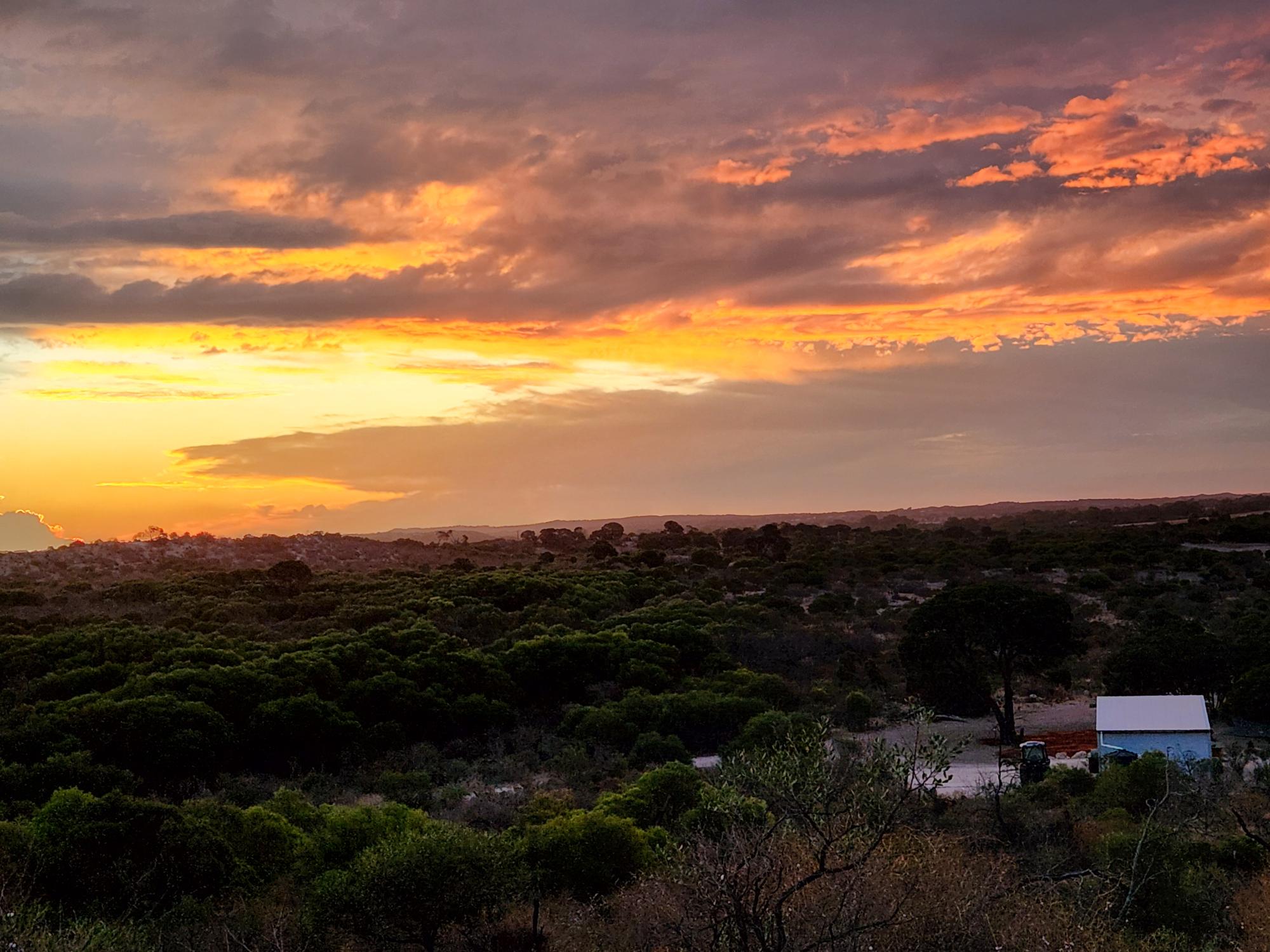Dongara Bush Camp