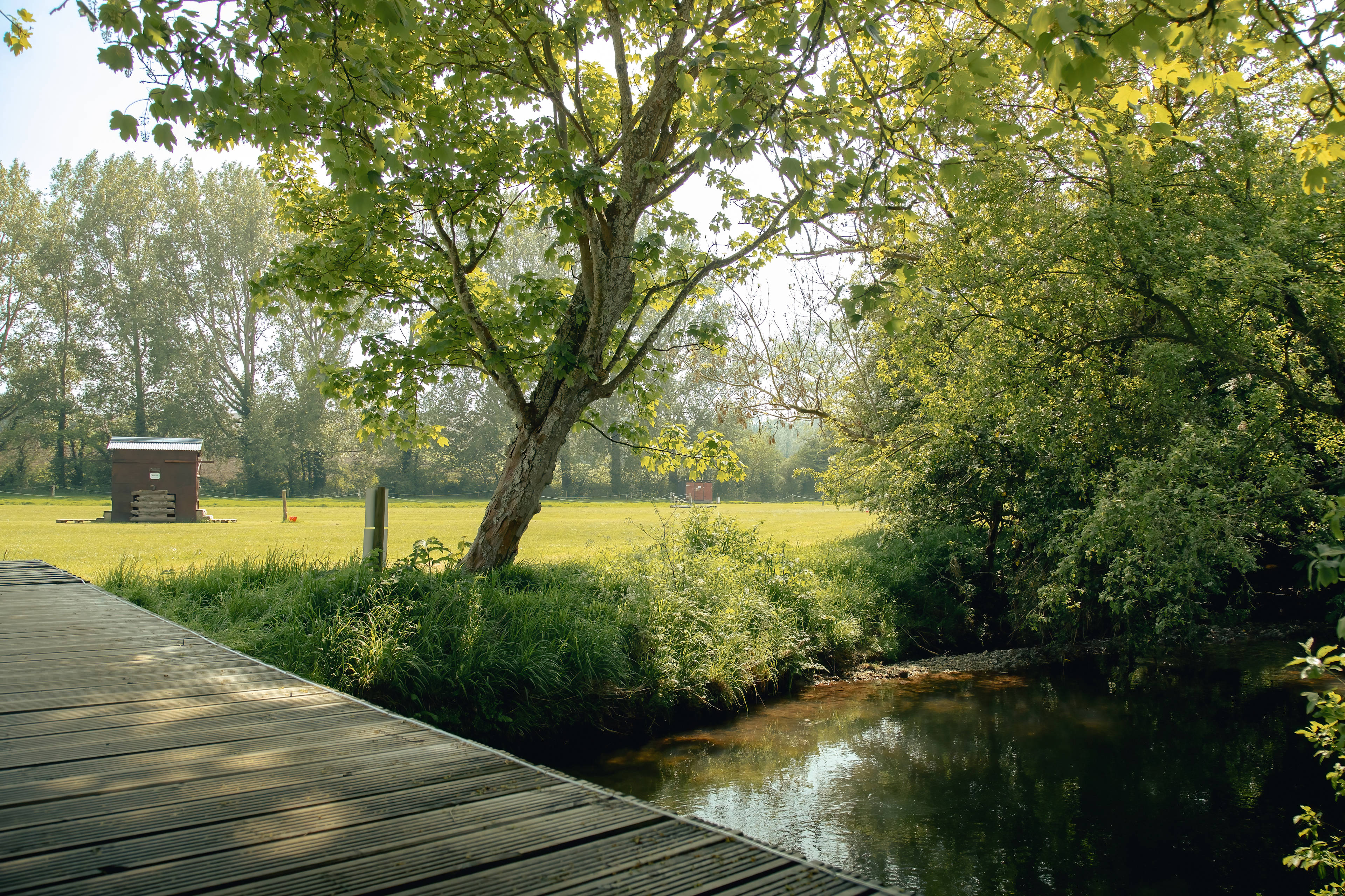 Relaxing flowing river next to both campsites.