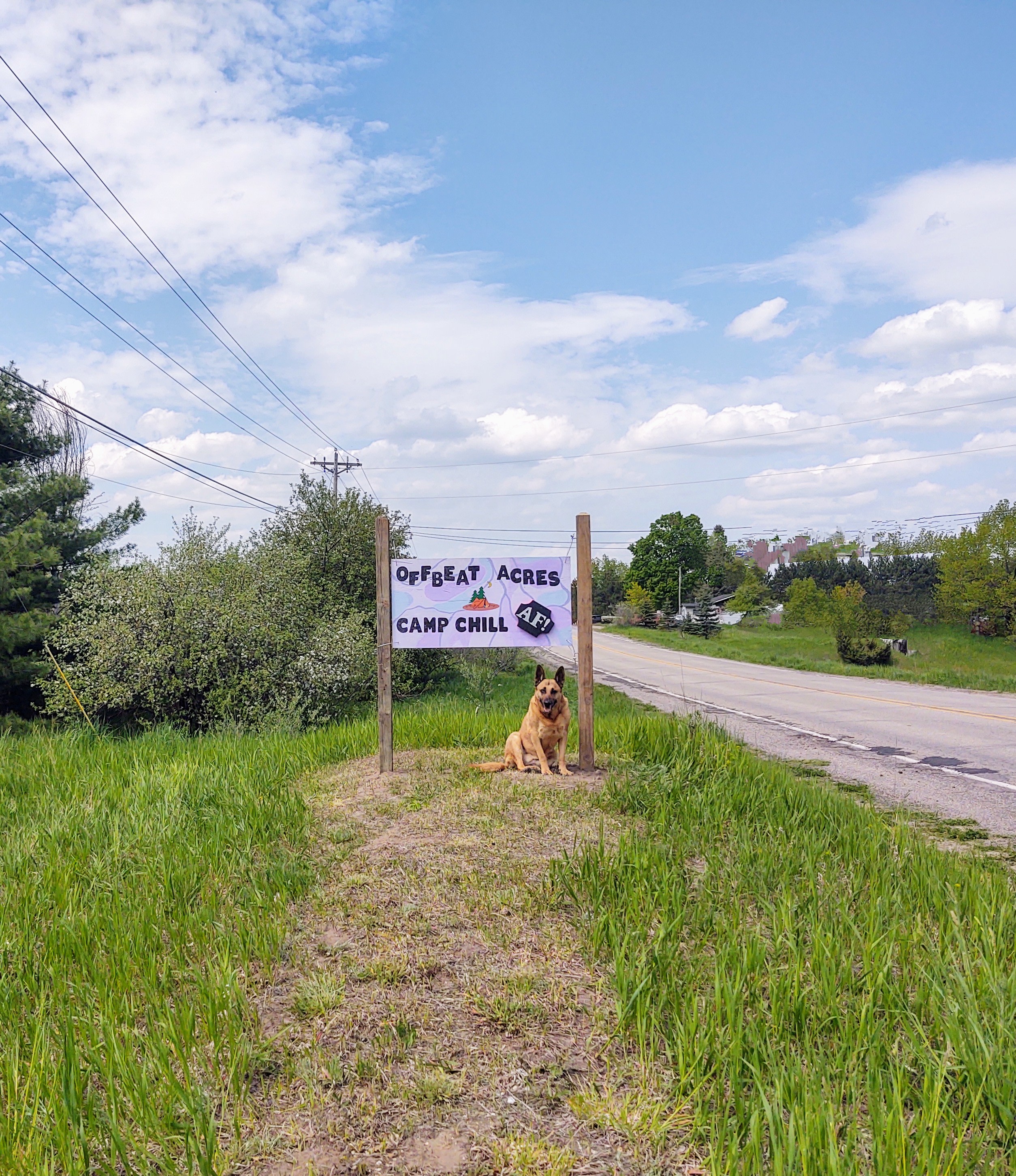 OffBeat Acres - Camp Chill AF!