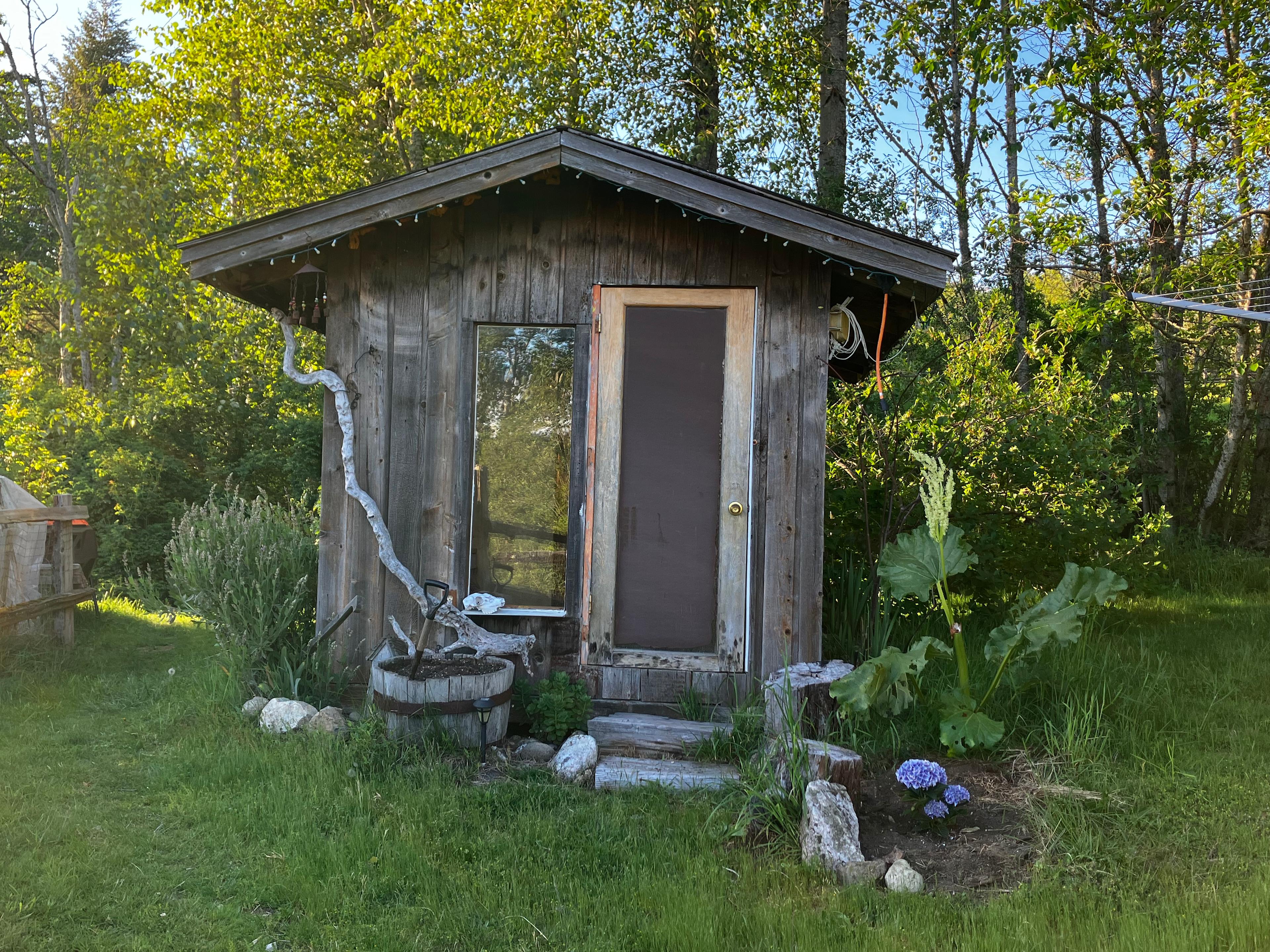 Squalicum Mountain Base Camp