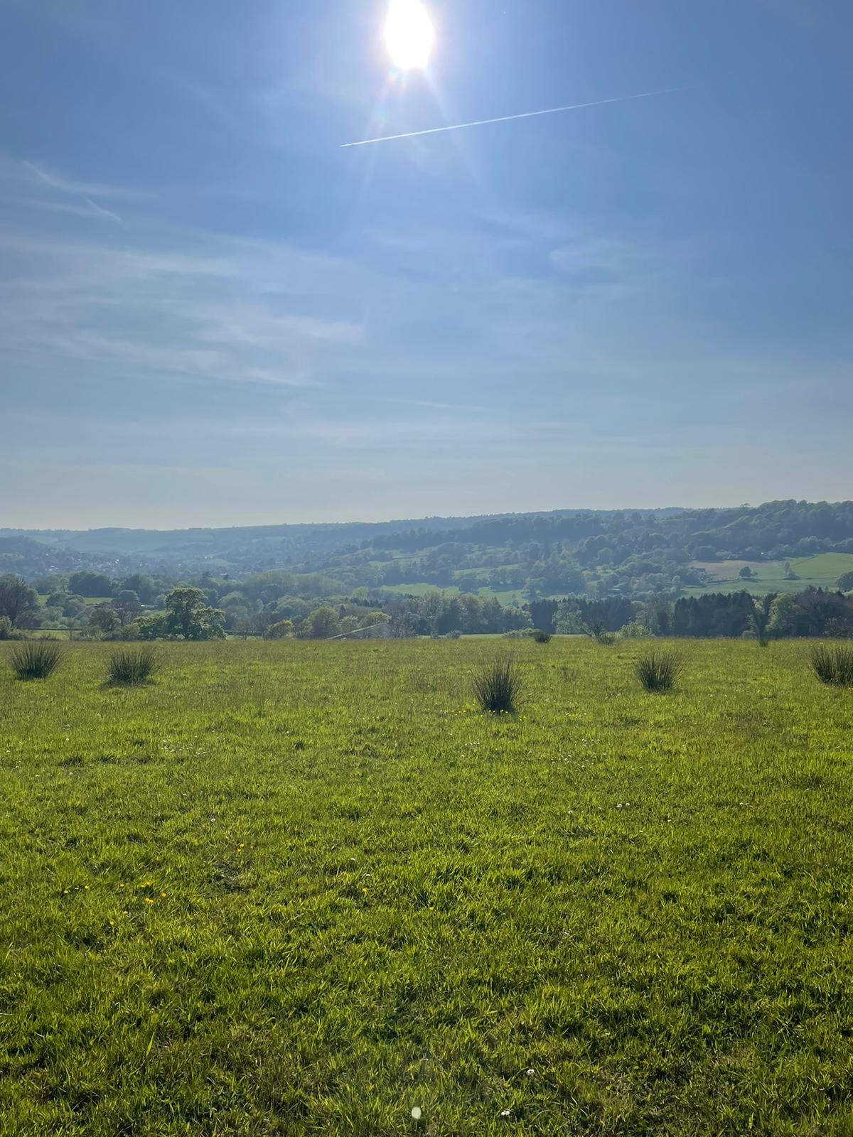 Berries Farm Camping