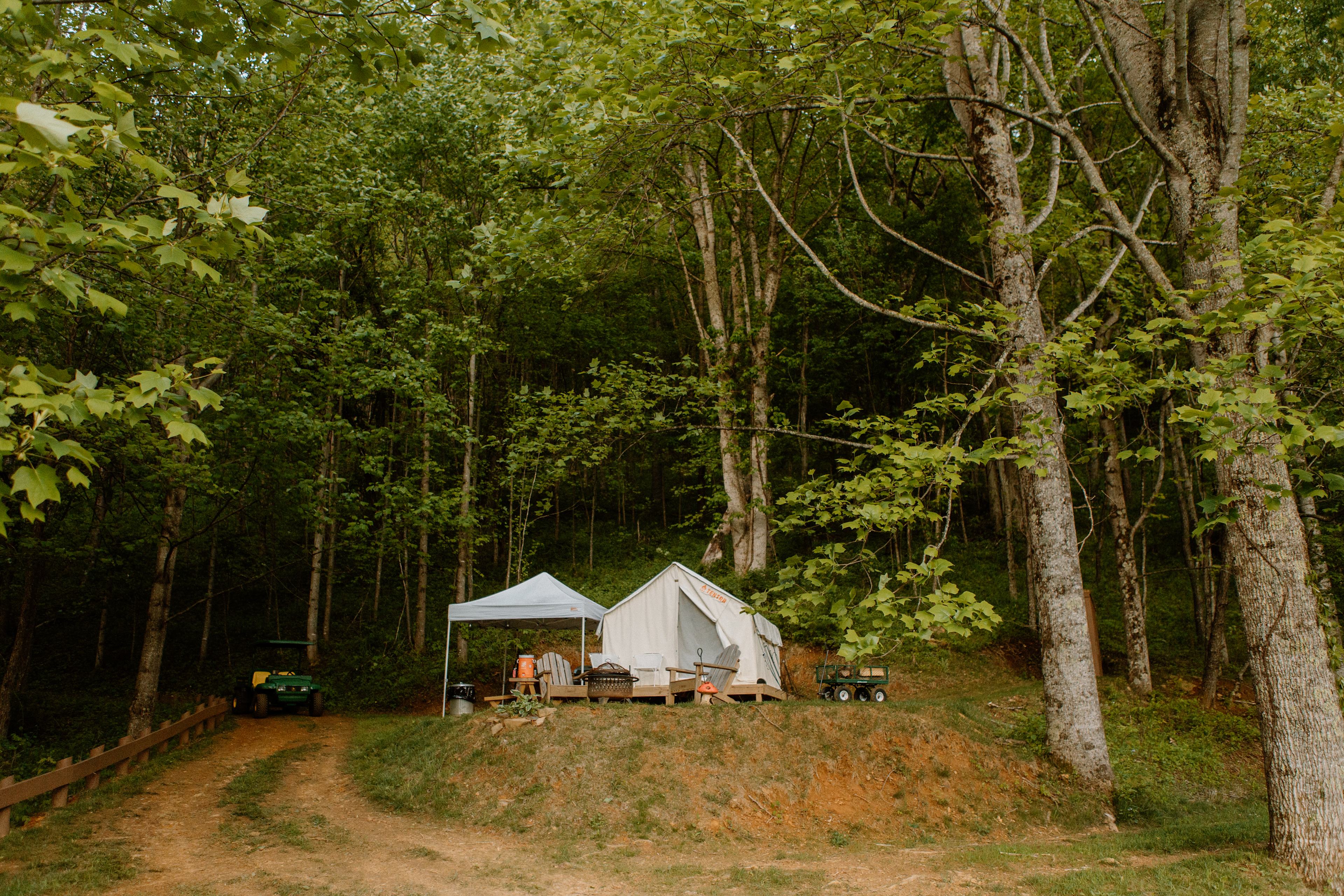 the campsite 
