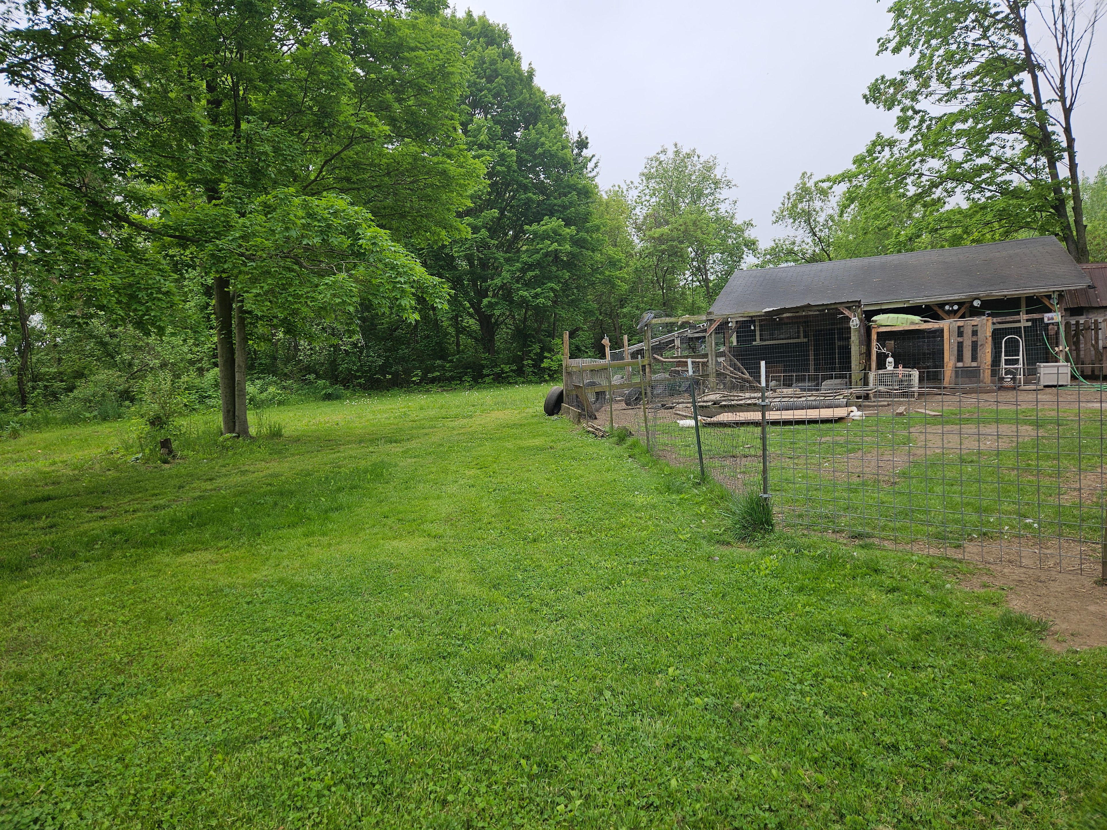 A Waggin' Good Time At Mellow Acres