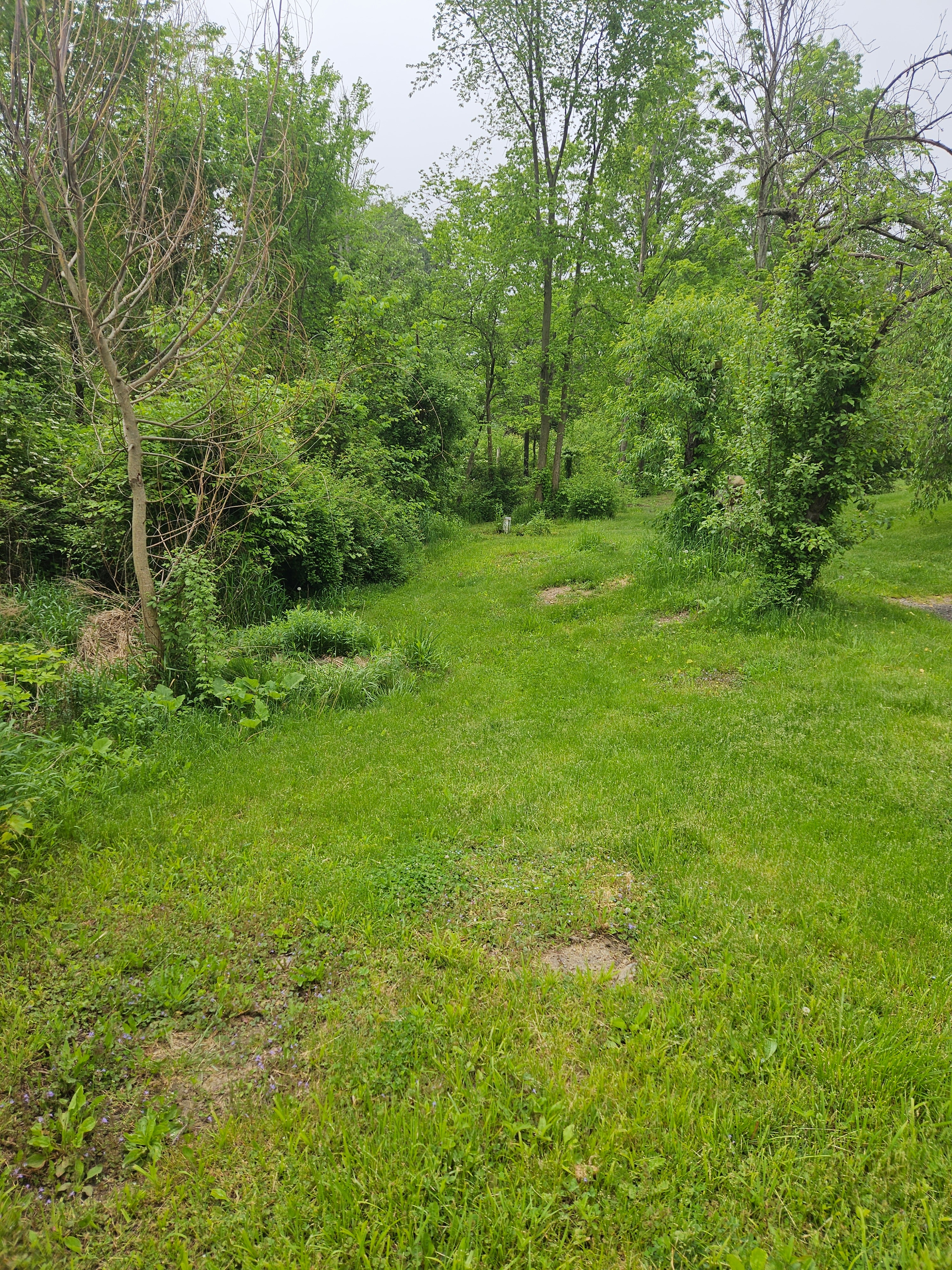 A Waggin' Good Time At Mellow Acres