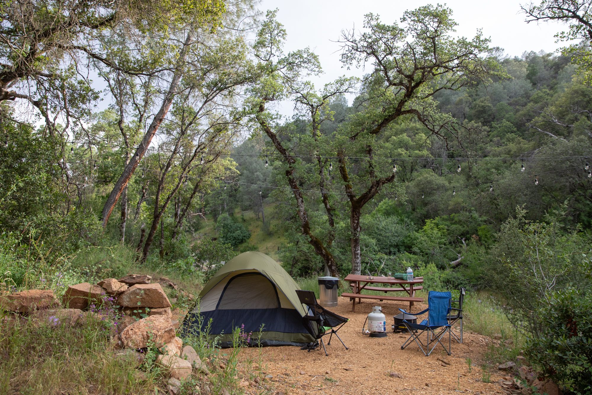 This is site #1 right next to the creek