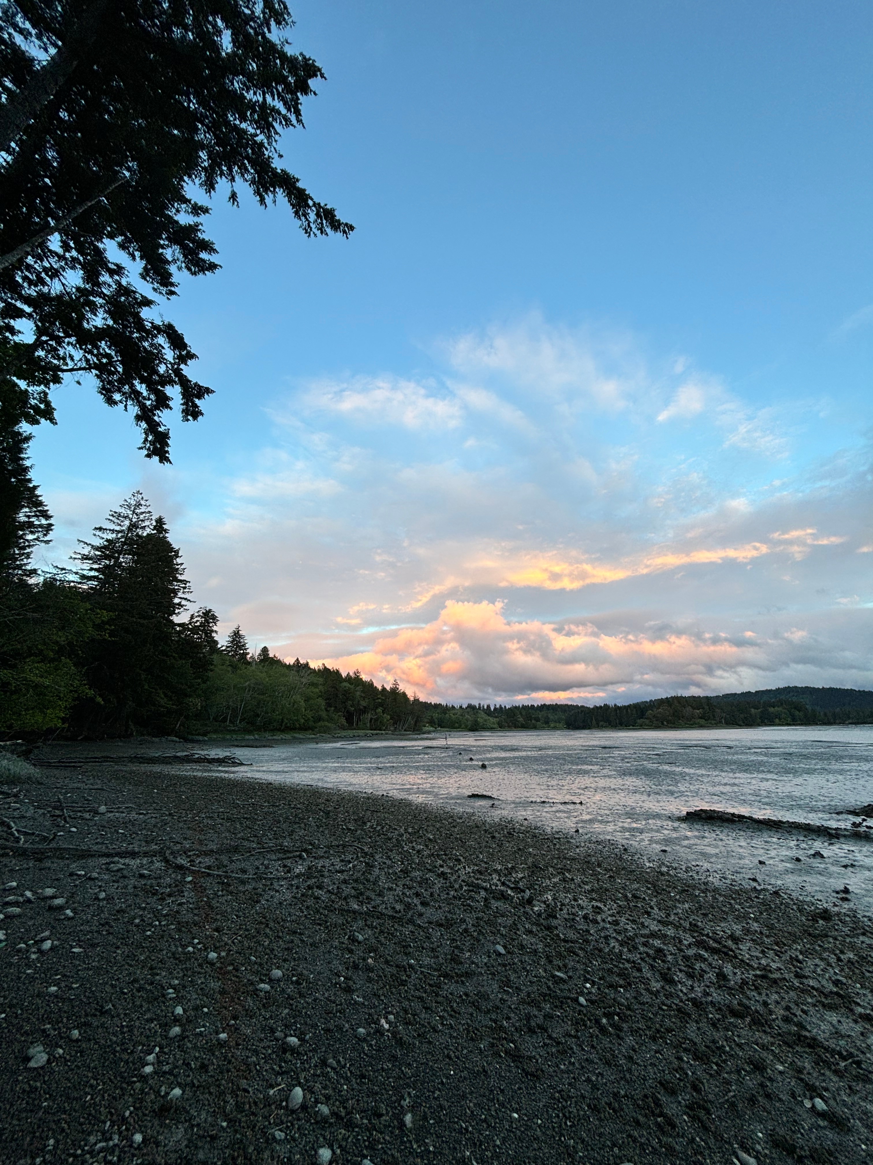 Evergreen Edge Escape 🦭